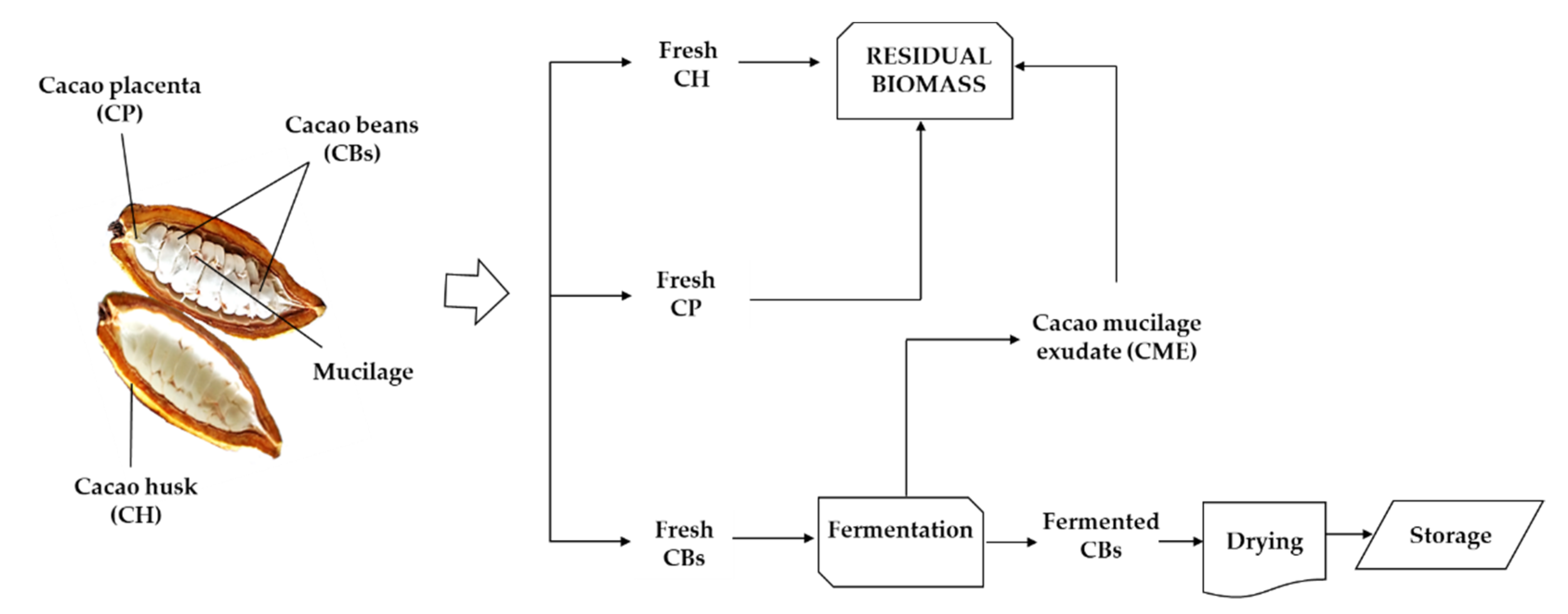Molecules 27 03717 g001