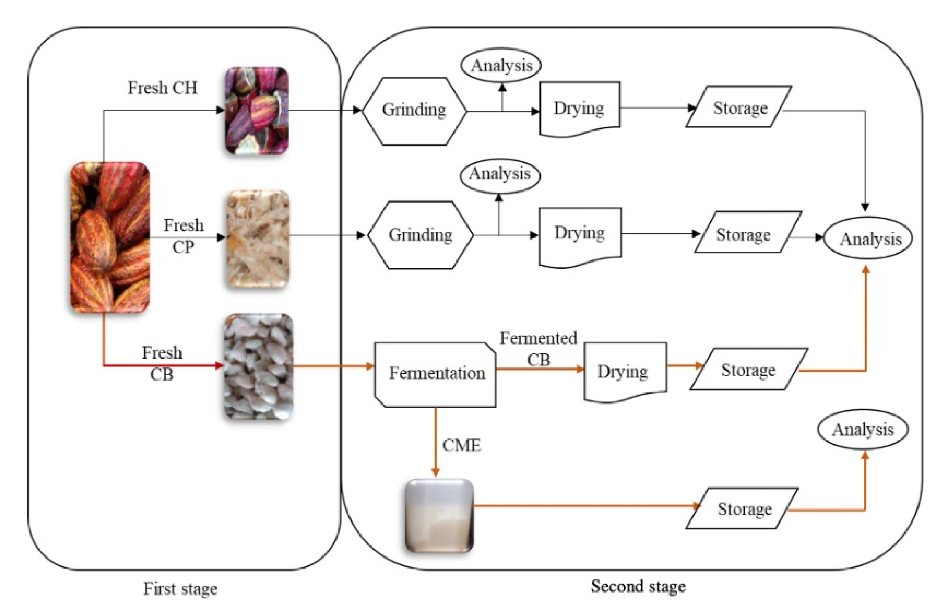 Molecules 27 03717 g003