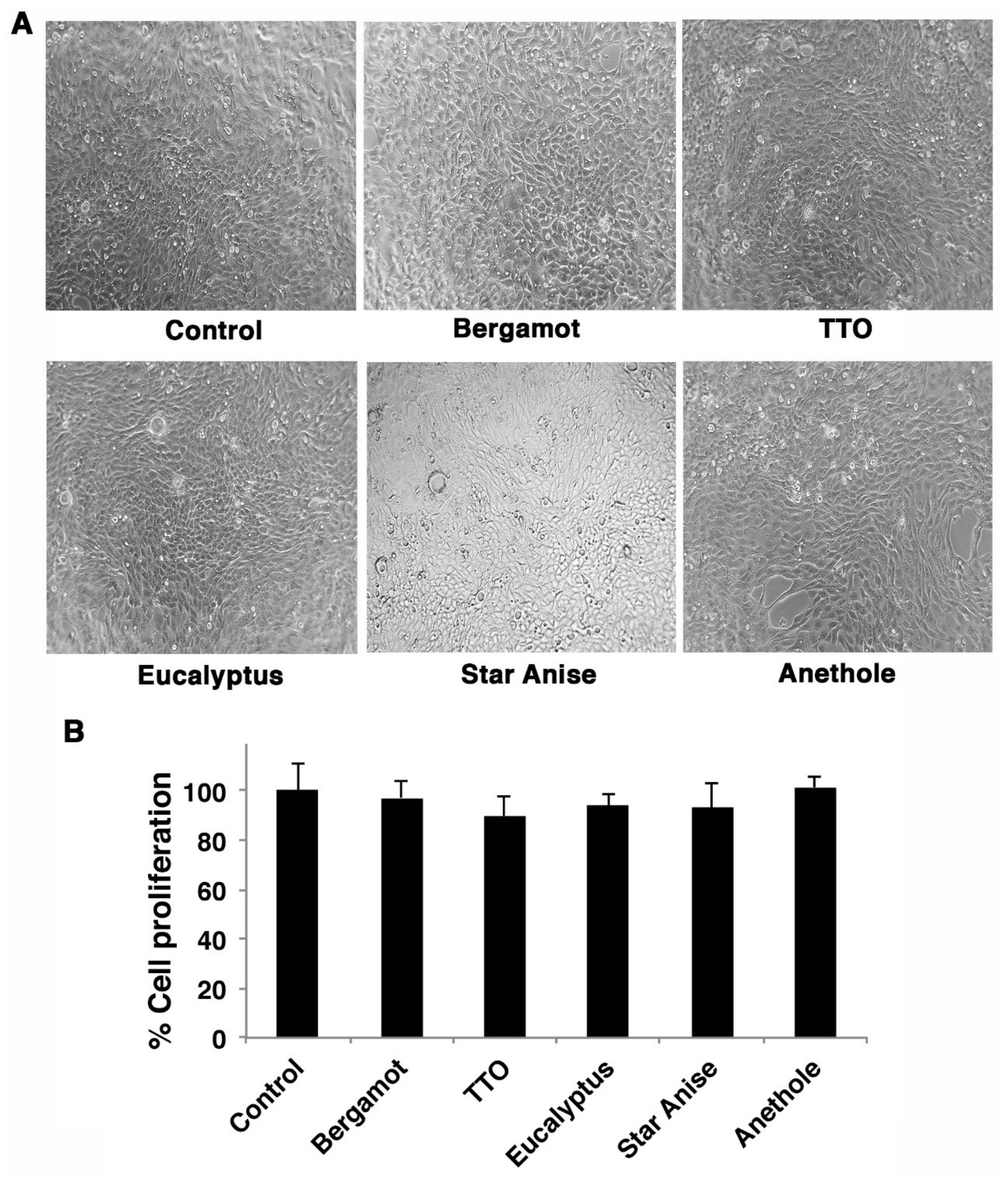 Molecules 27 03718 g002 Molecules 27 03718 g002