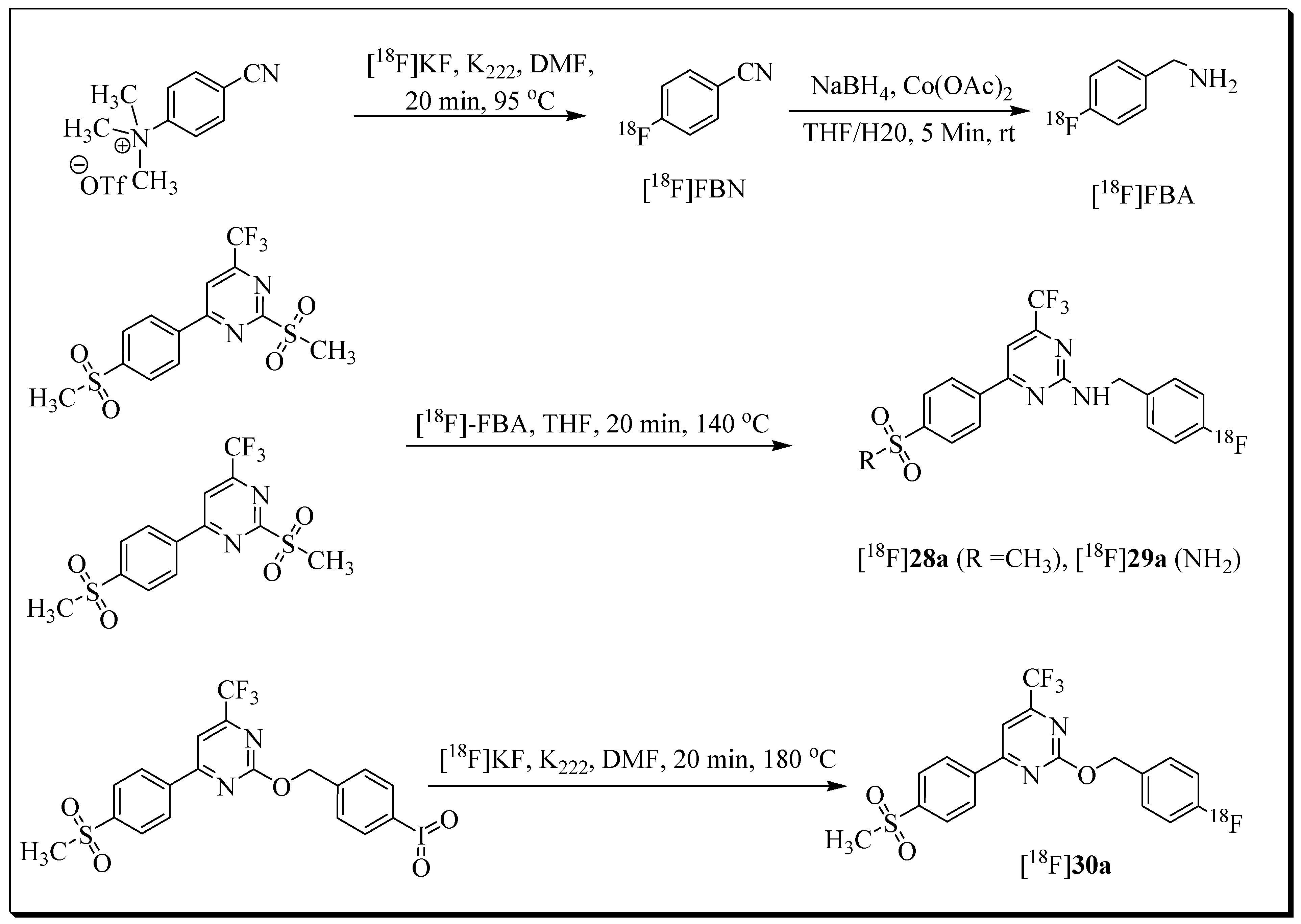 Molecules 27 03722 g006