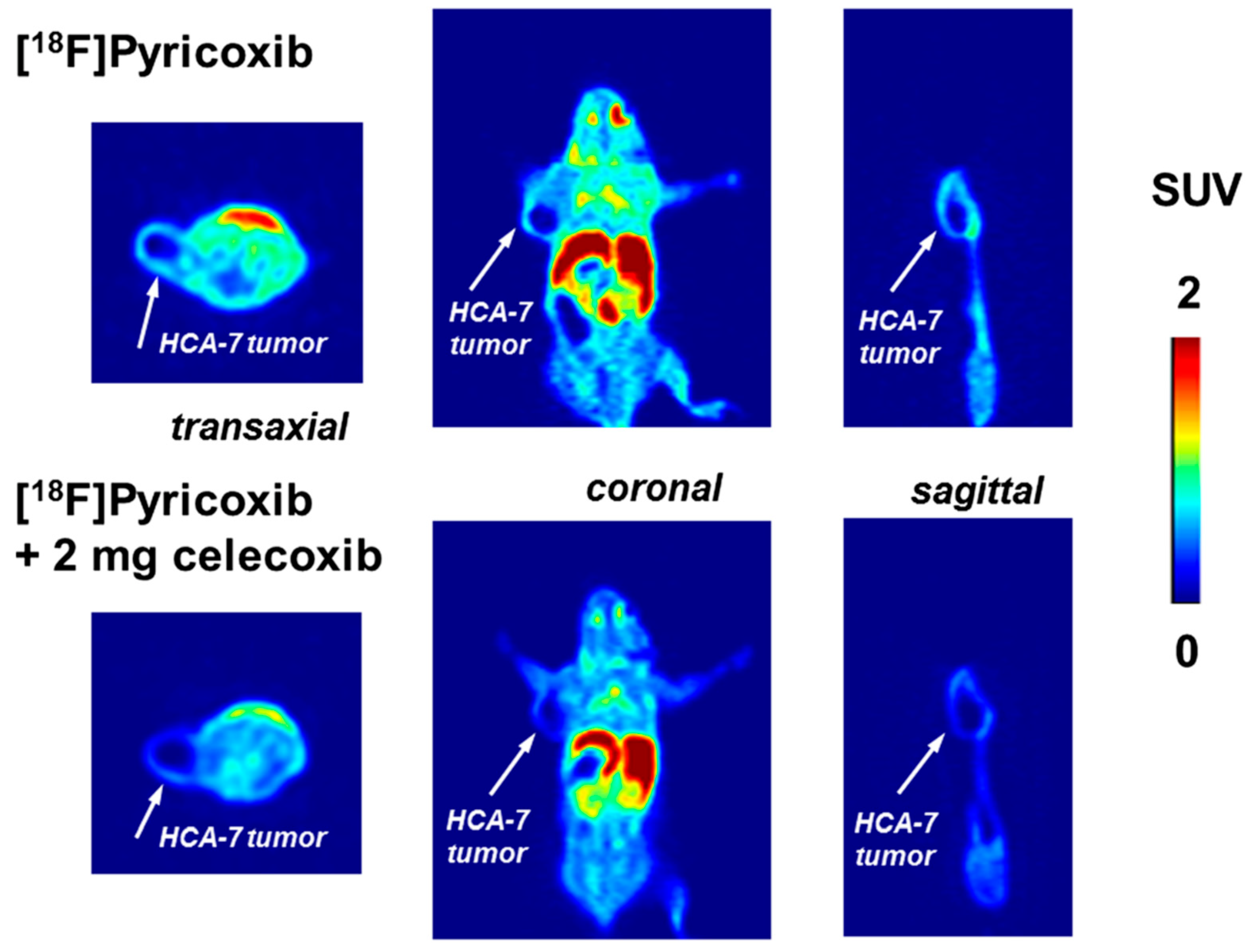 Molecules 27 03722 g008