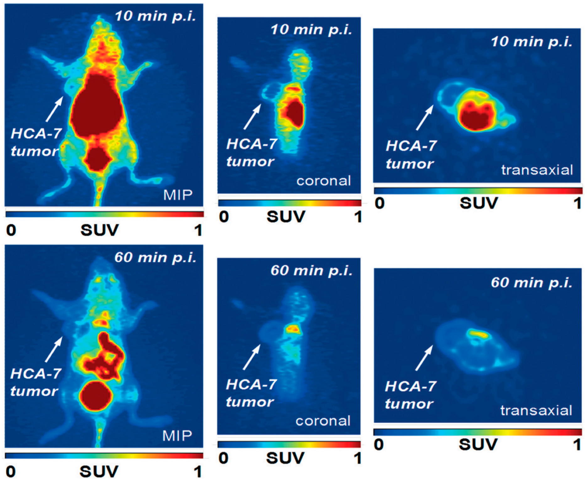 Molecules 27 03722 g010