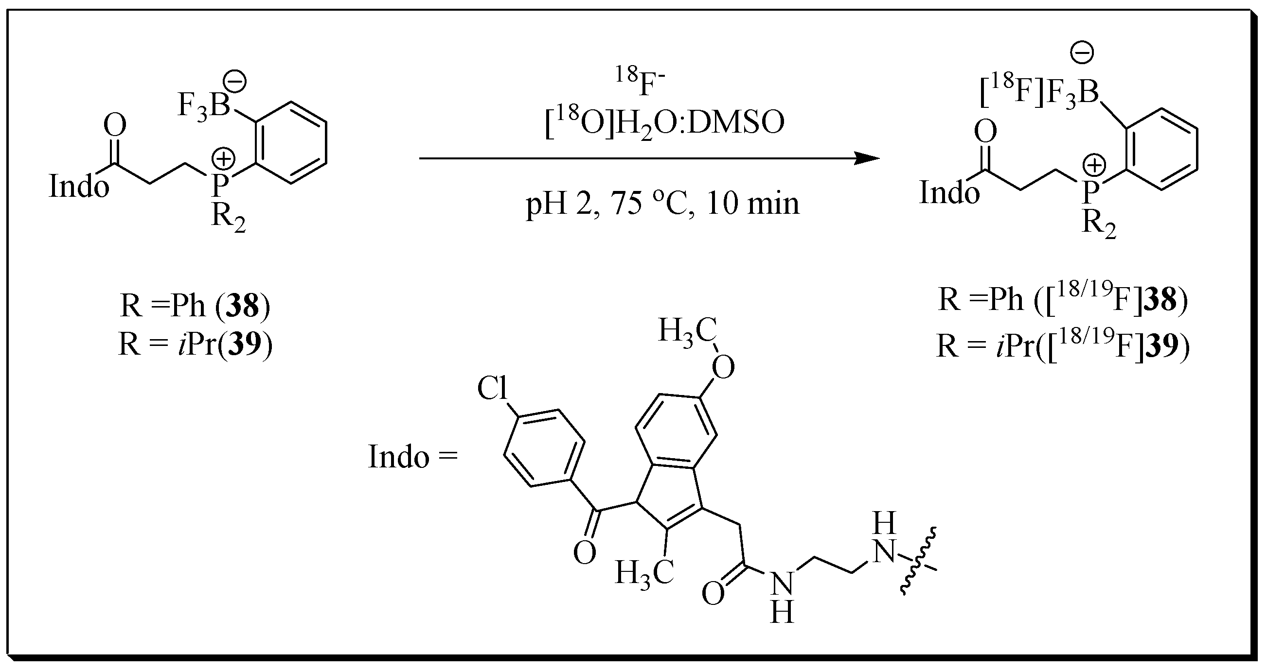 Molecules 27 03722 g012