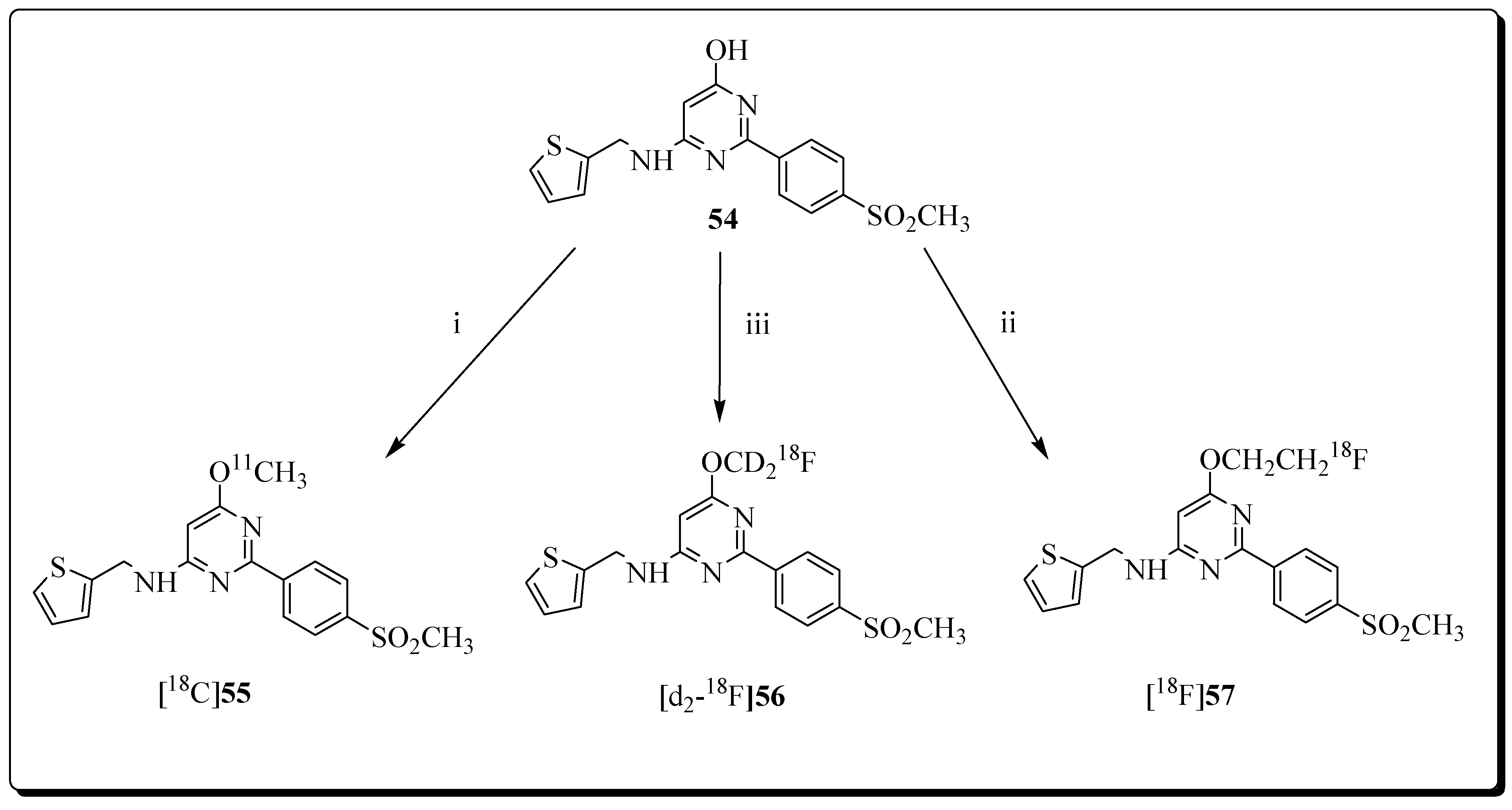 Molecules 27 03722 g016