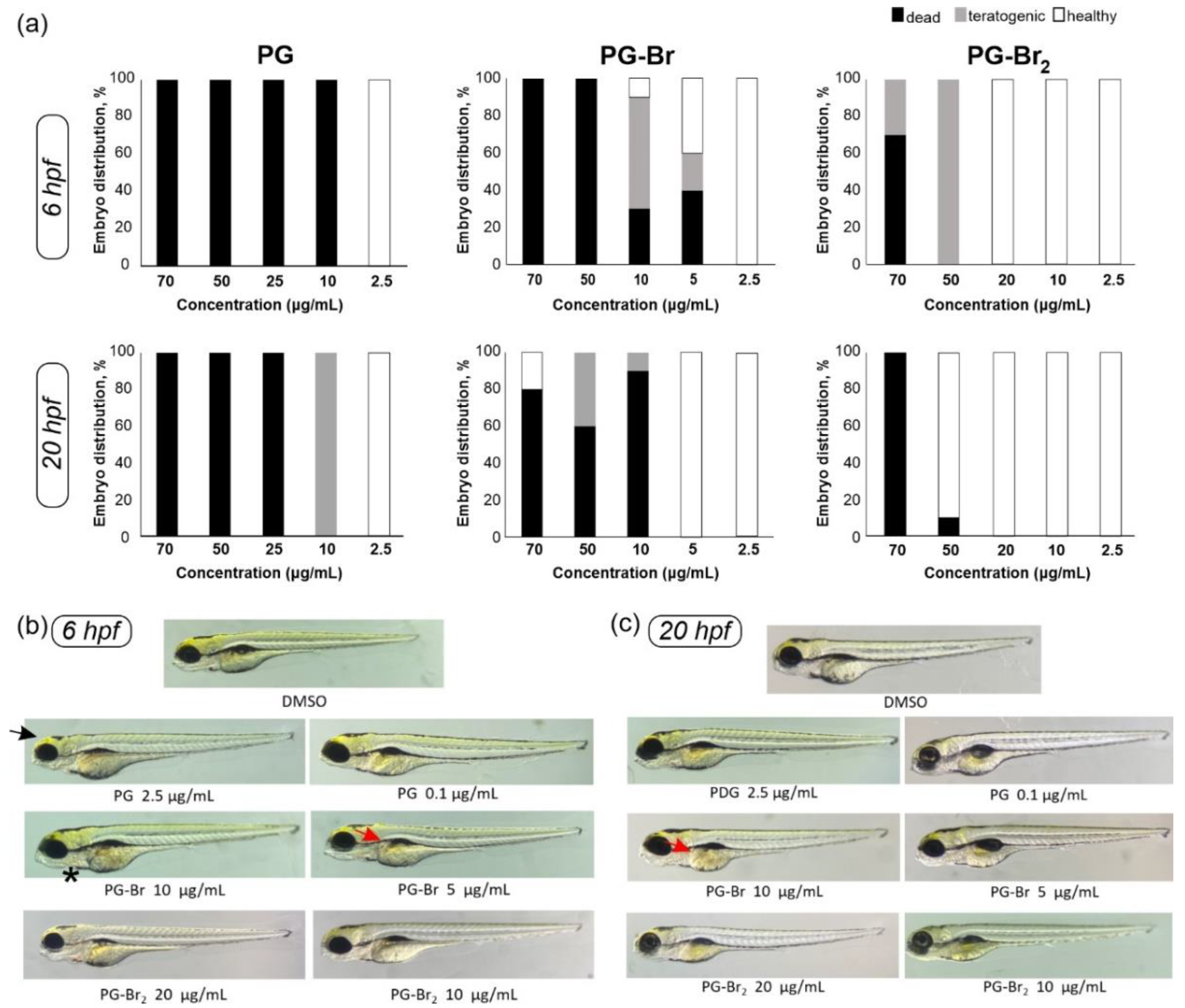 Molecules 27 03729 g005
