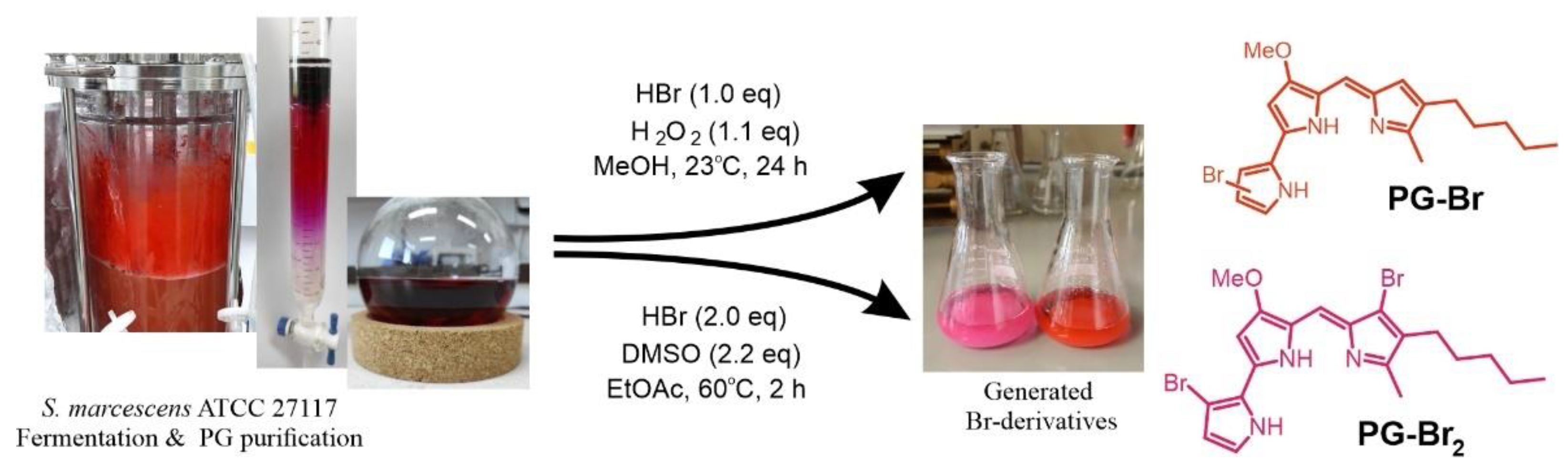 Molecules 27 03729 sch001