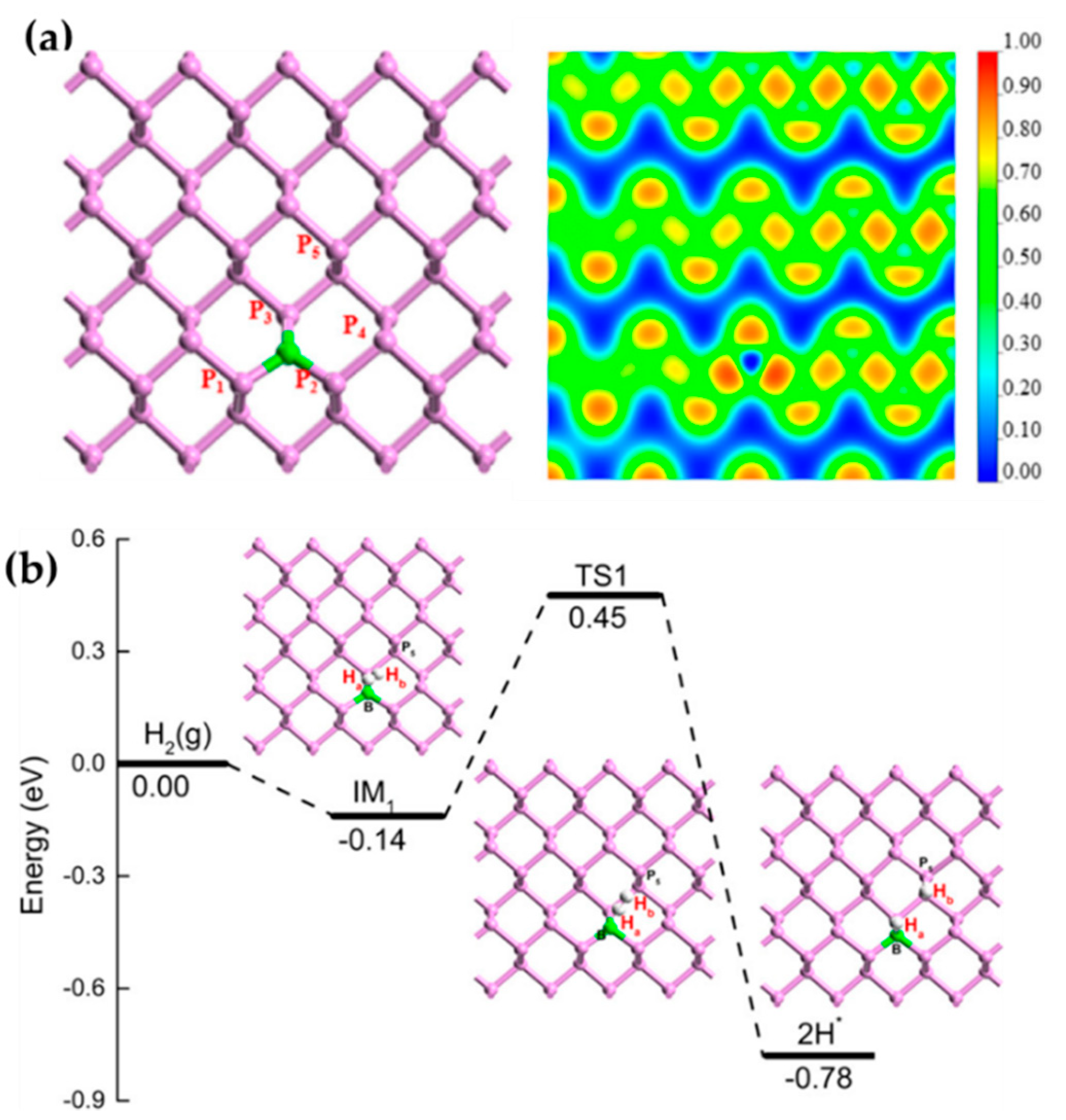 Molecules 27 03734 g009 Molecules 27 03734 g009