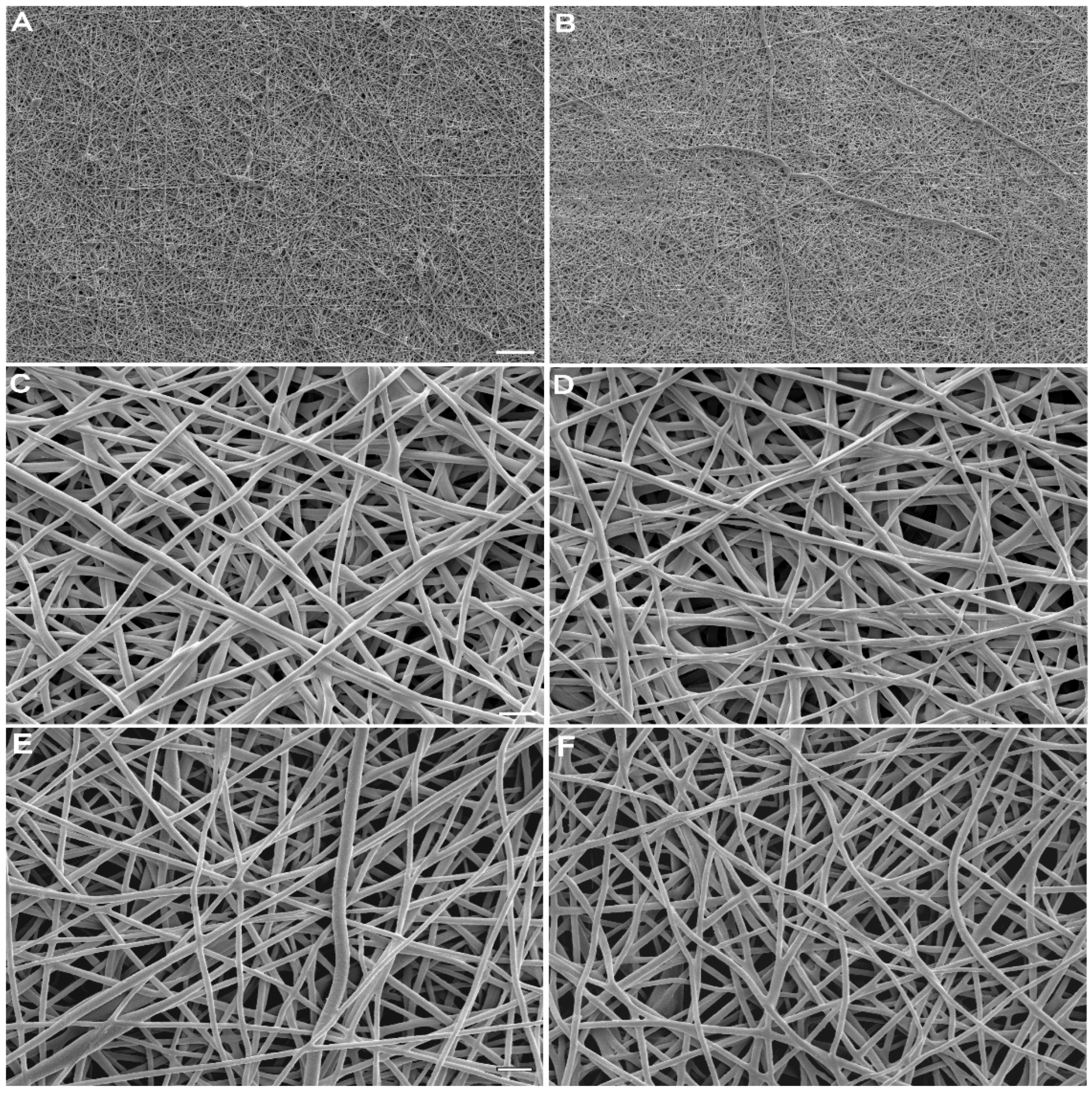 Molecules 27 03739 g001