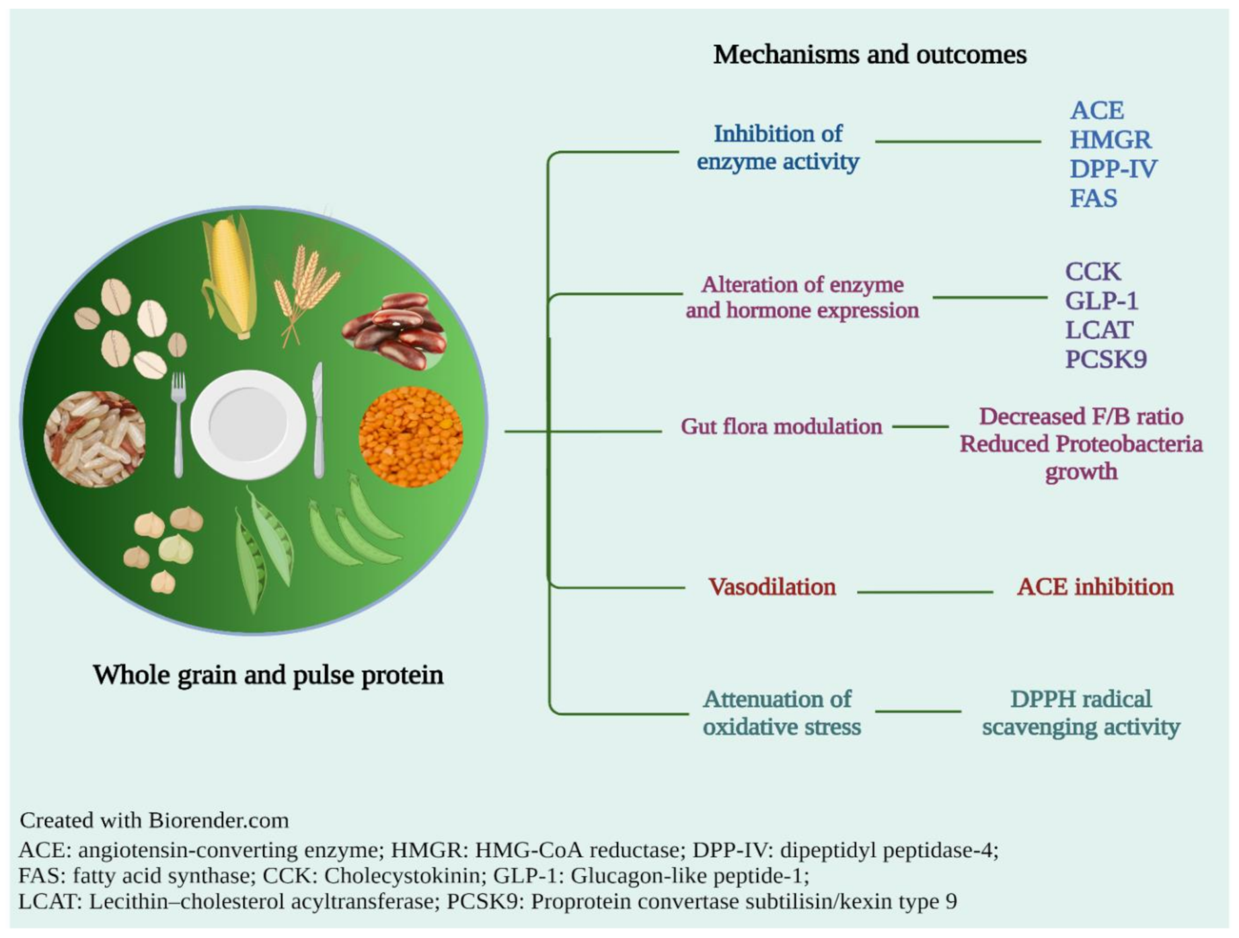 Molecules 27 03746 g001 Molecules 27 03746 g001