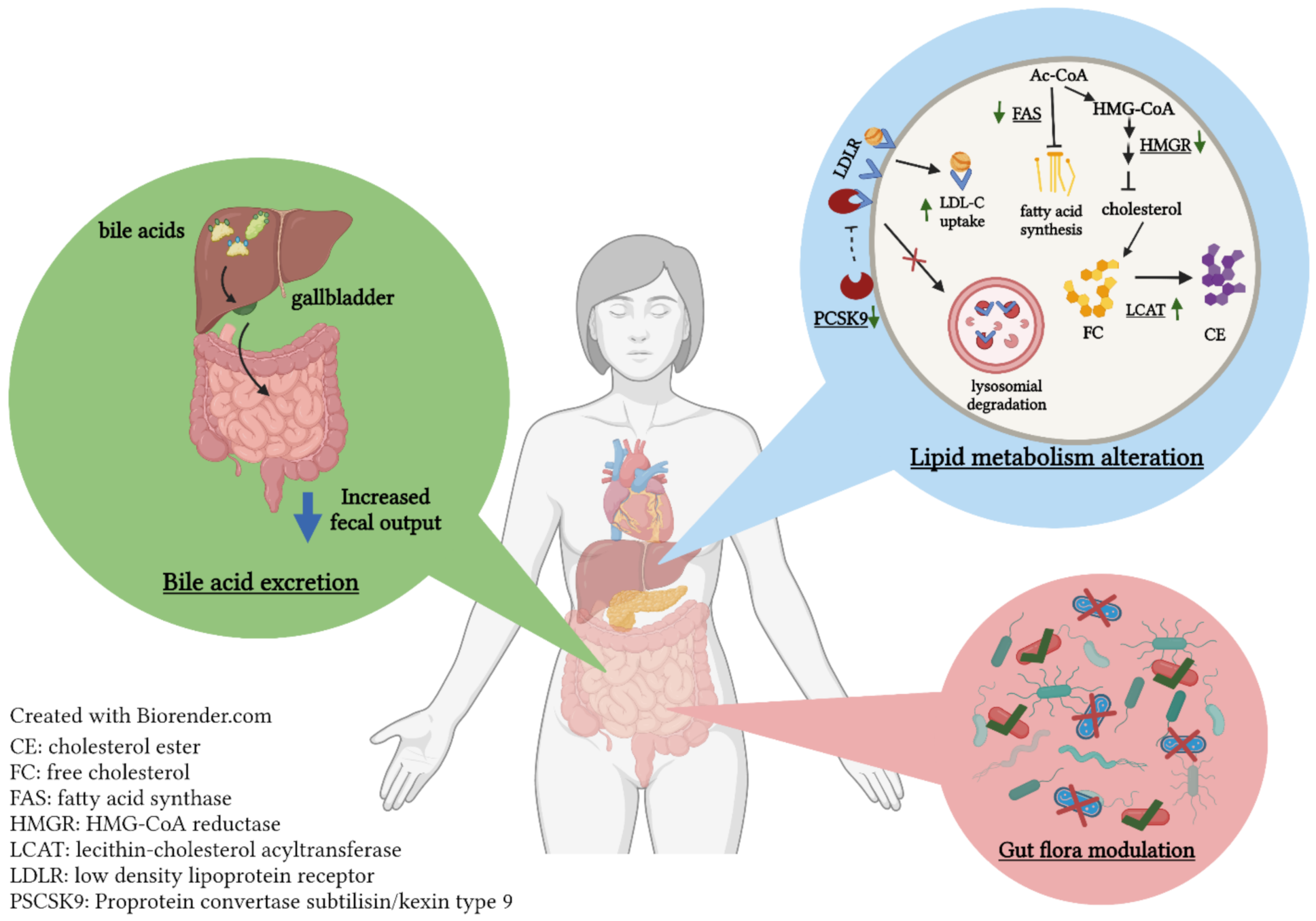 Molecules 27 03746 g002 Molecules 27 03746 g002
