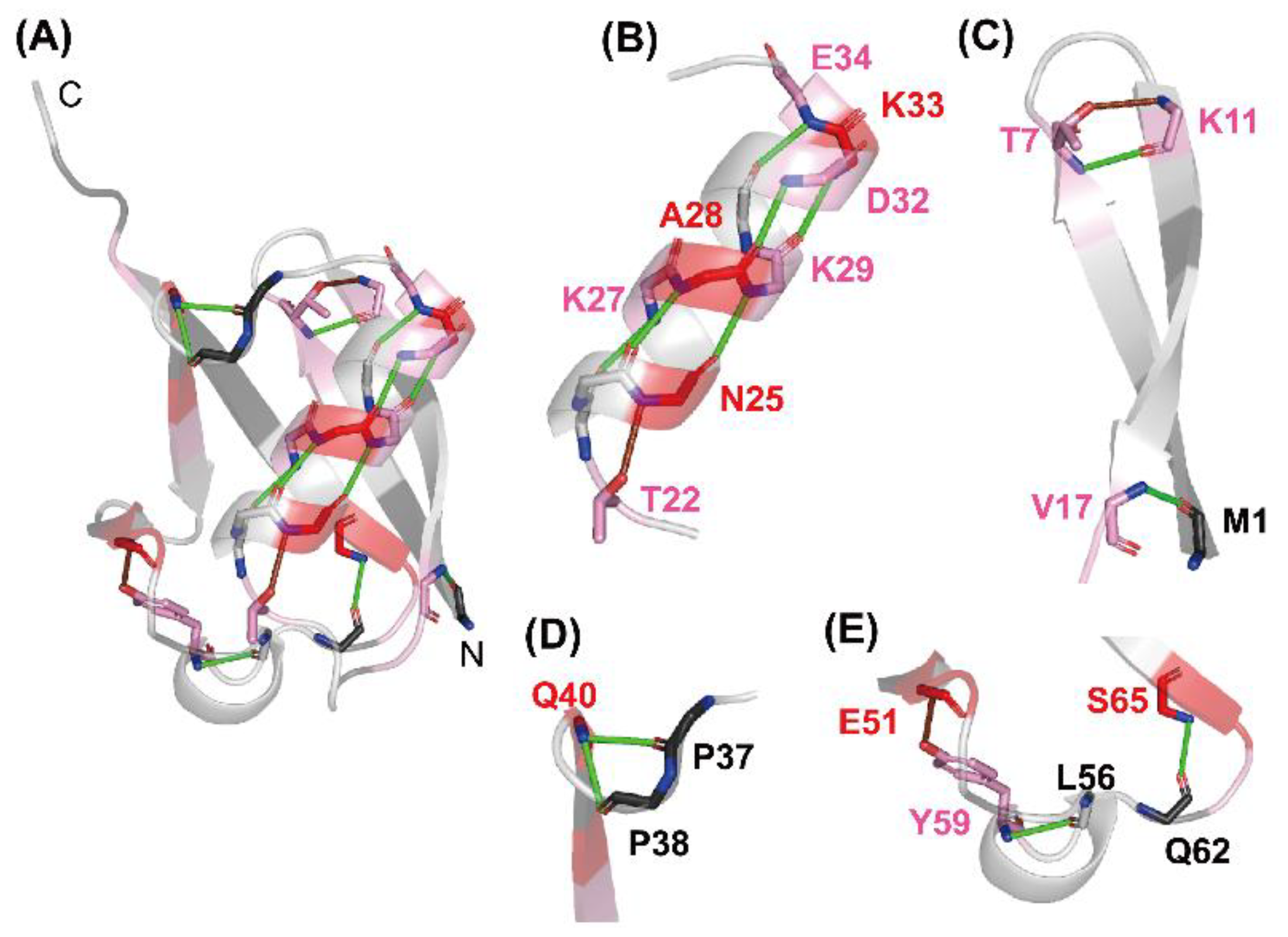 Molecules 27 03748 g005 Molecules 27 03748 g005