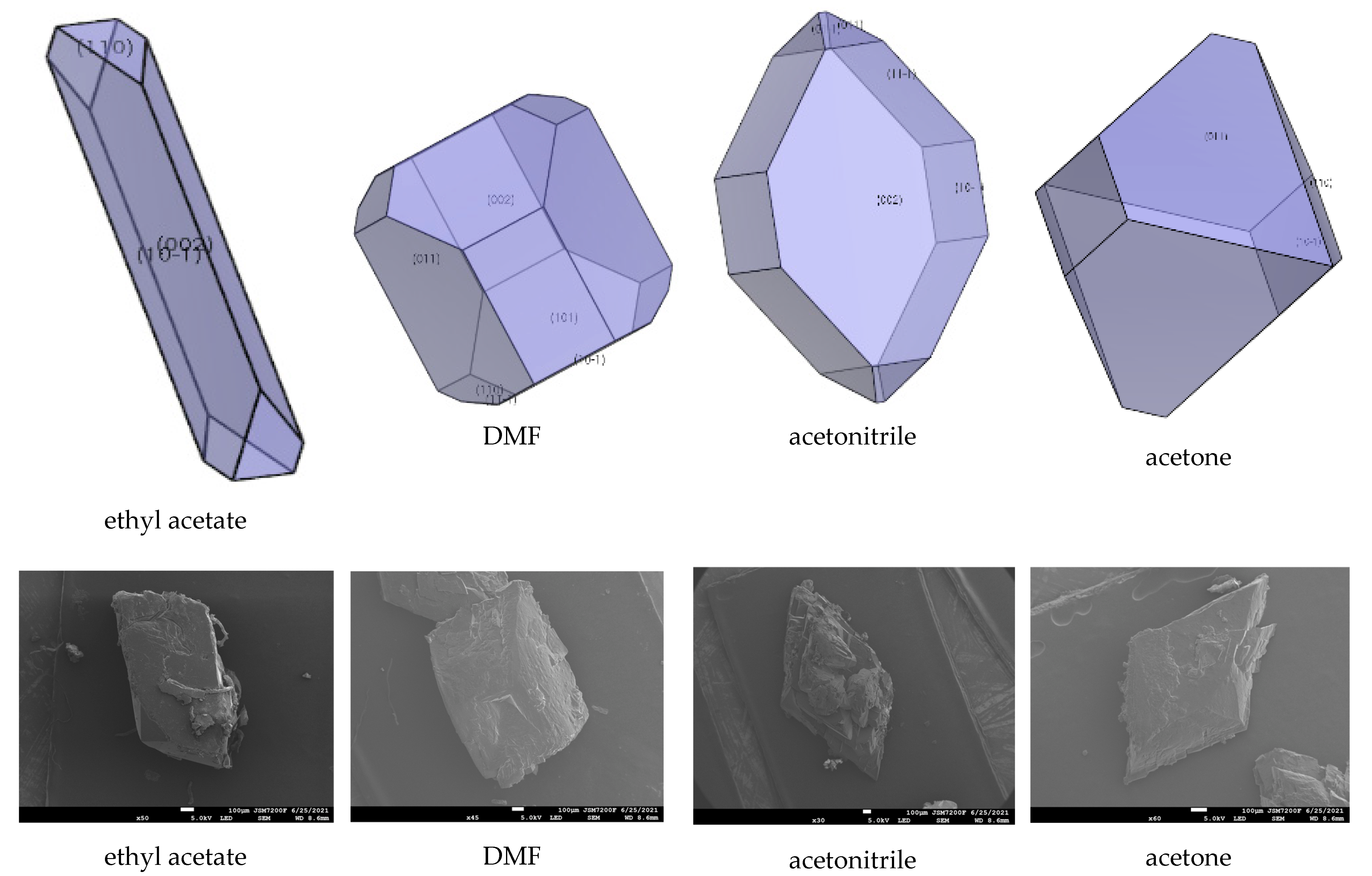 Molecules 27 03755 g006