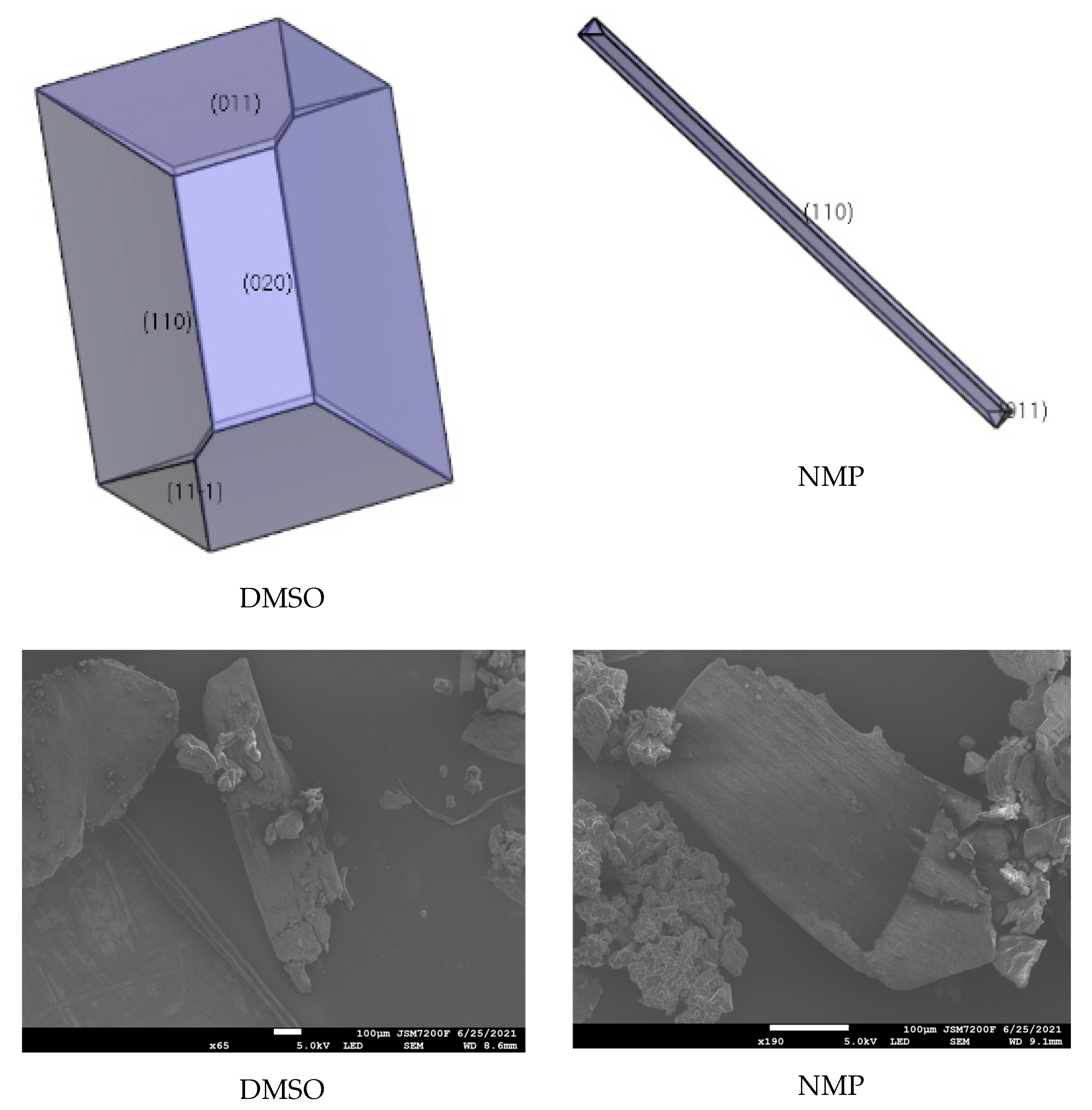 Molecules 27 03755 g007