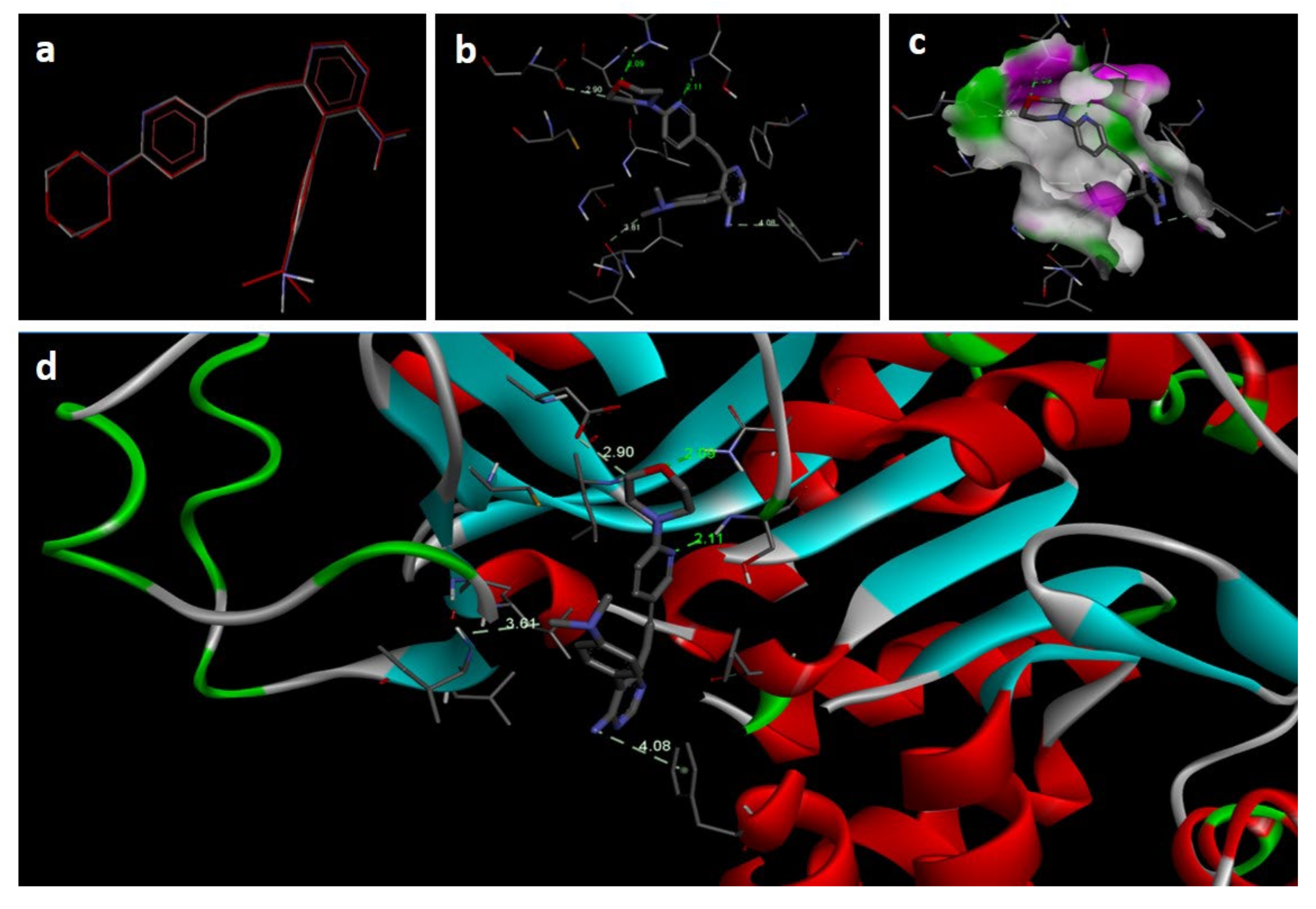Molecules 27 03757 g005 Molecules 27 03757 g005