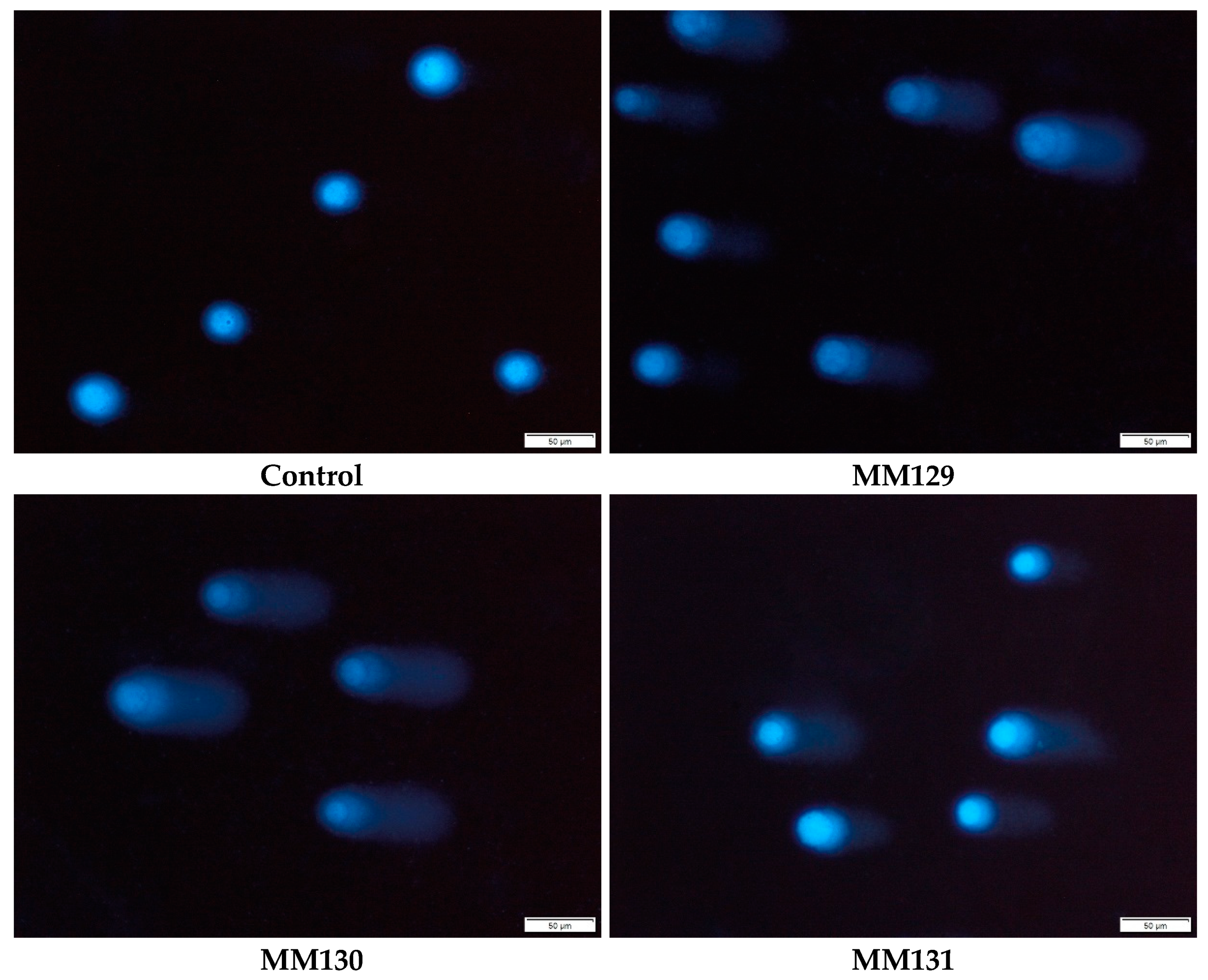 Molecules 27 03761 g003