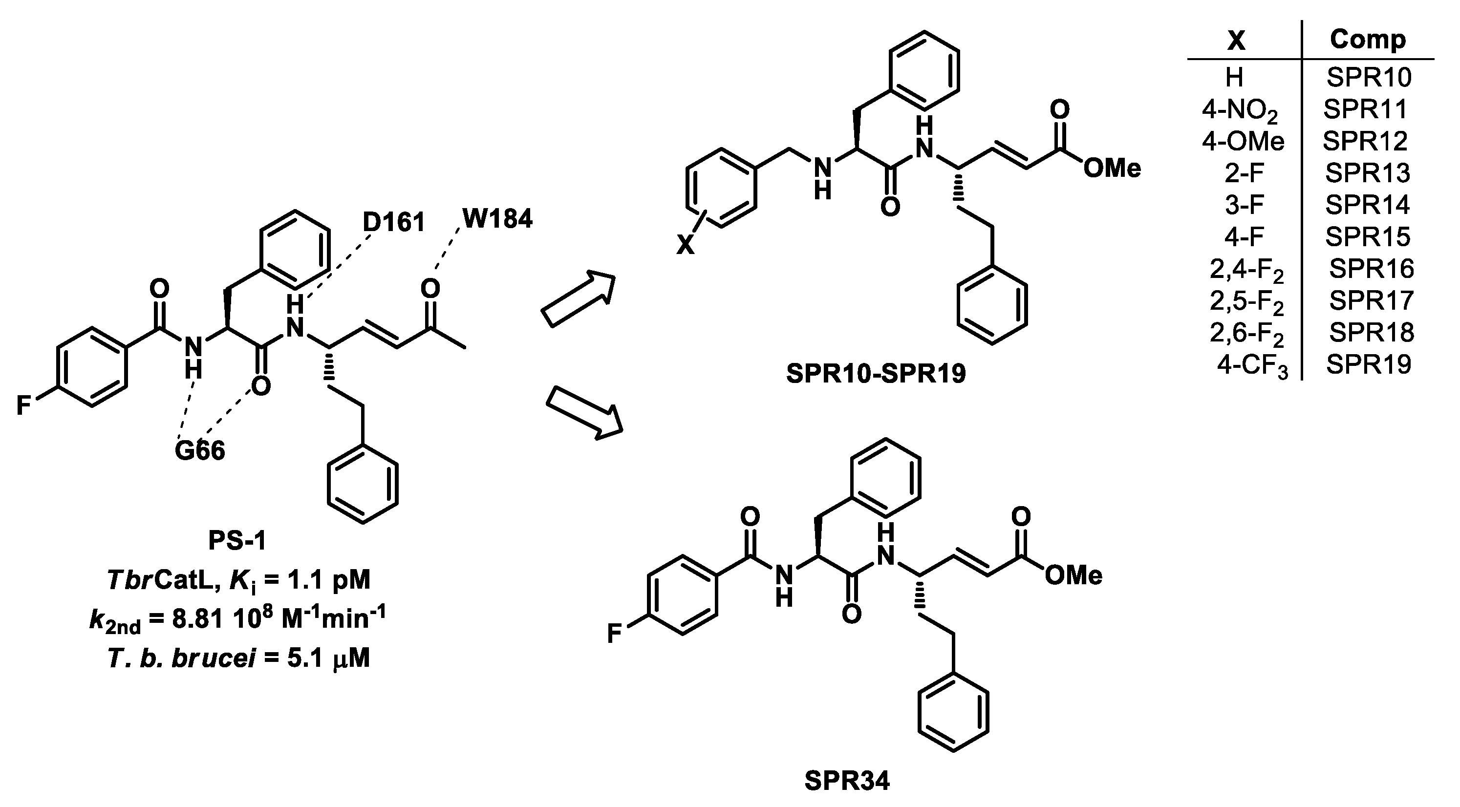 Molecules 27 03765 ch001