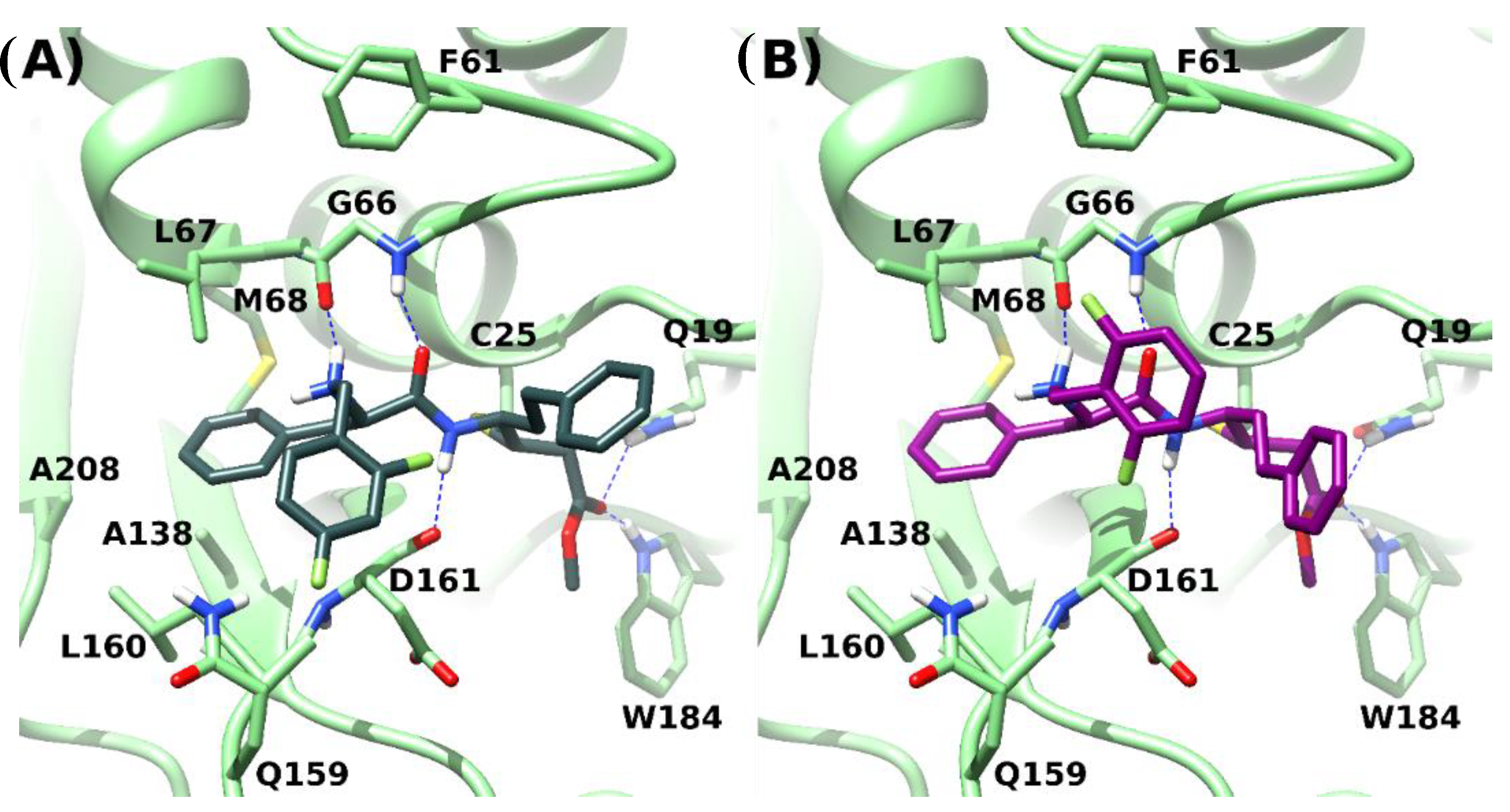 Molecules 27 03765 g003