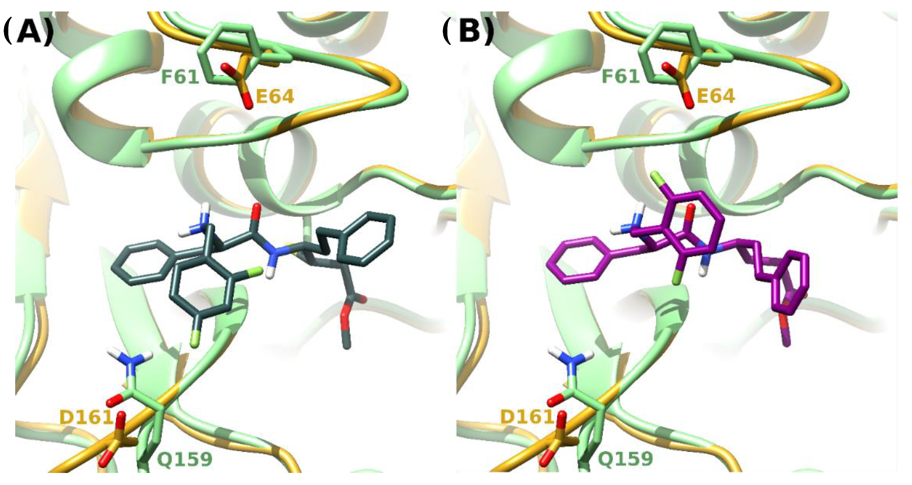 Molecules 27 03765 g004