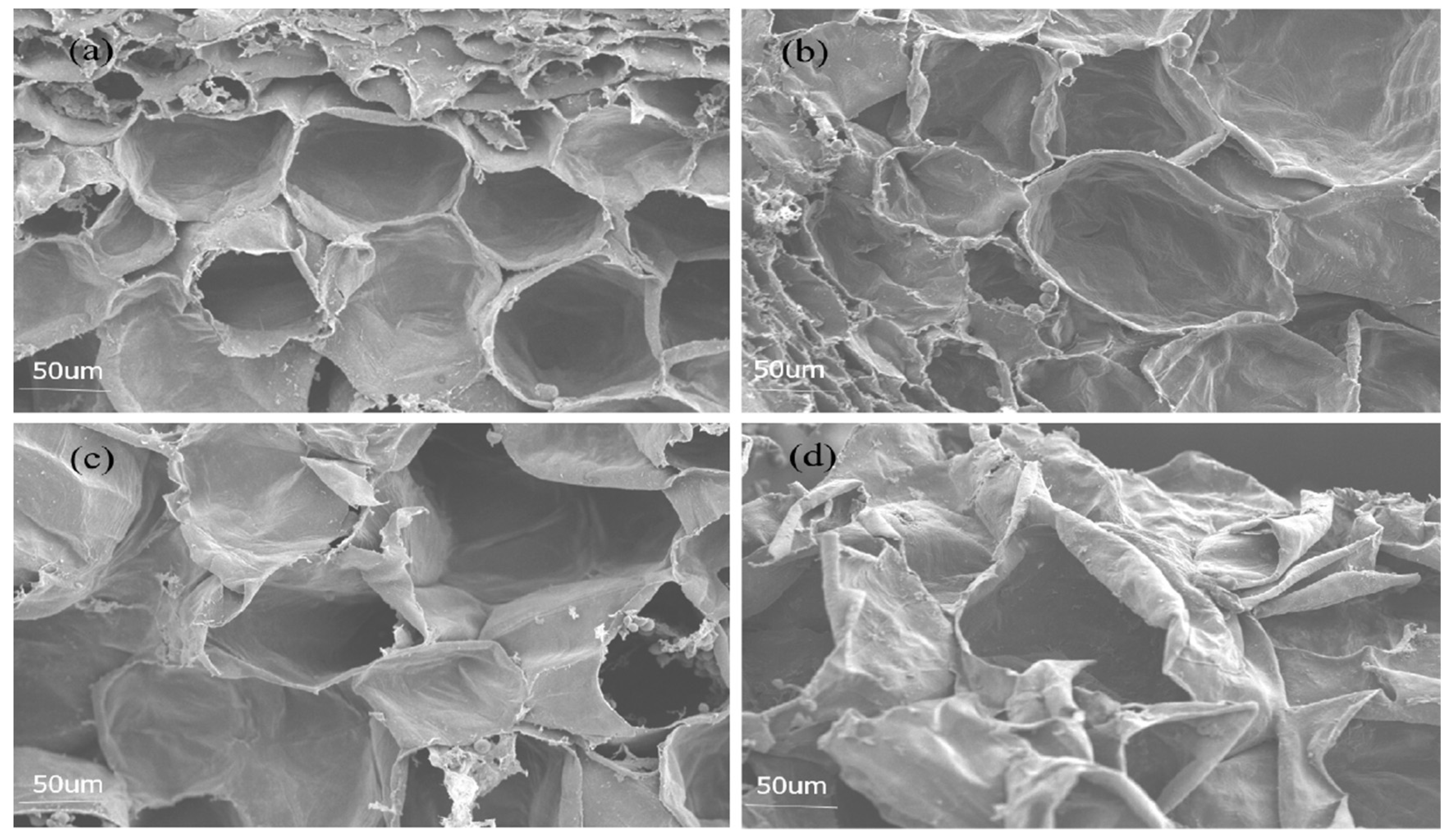 Molecules 27 03775 g002