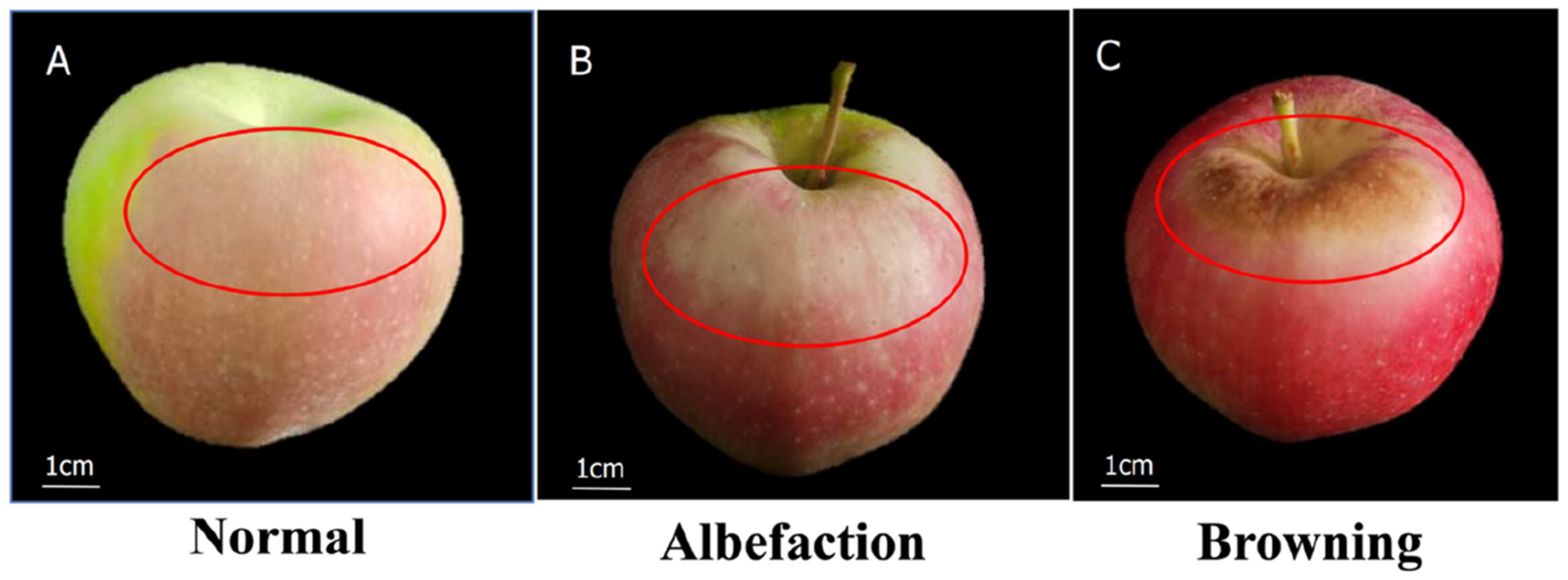 Molecules 27 03775 g007