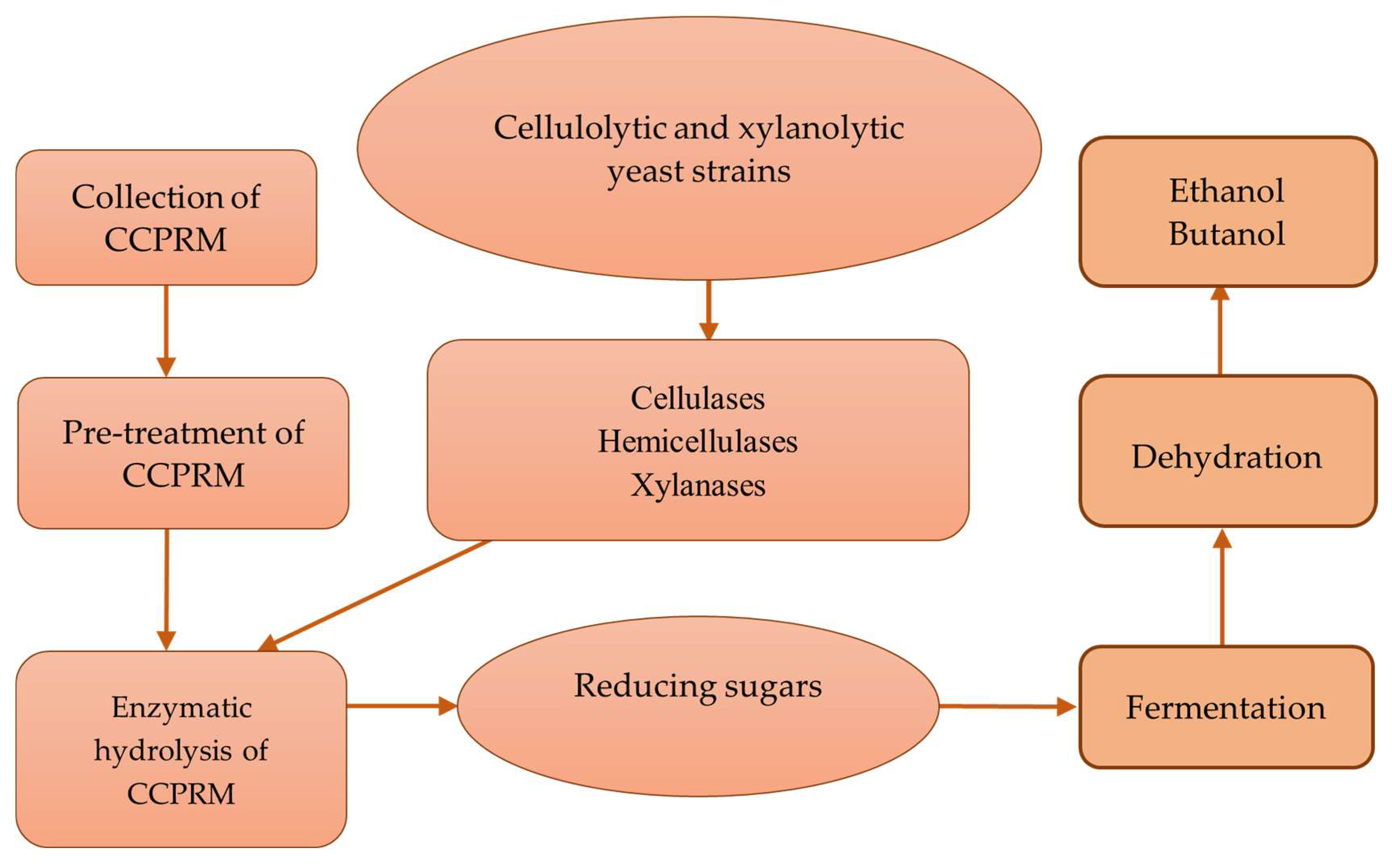 Molecules 27 03783 g001 Molecules 27 03783 g001