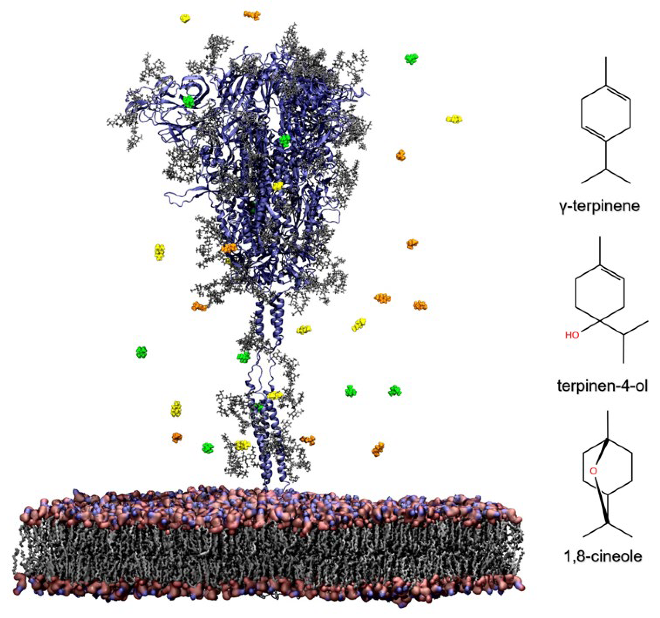 Molecules 27 03786 g001
