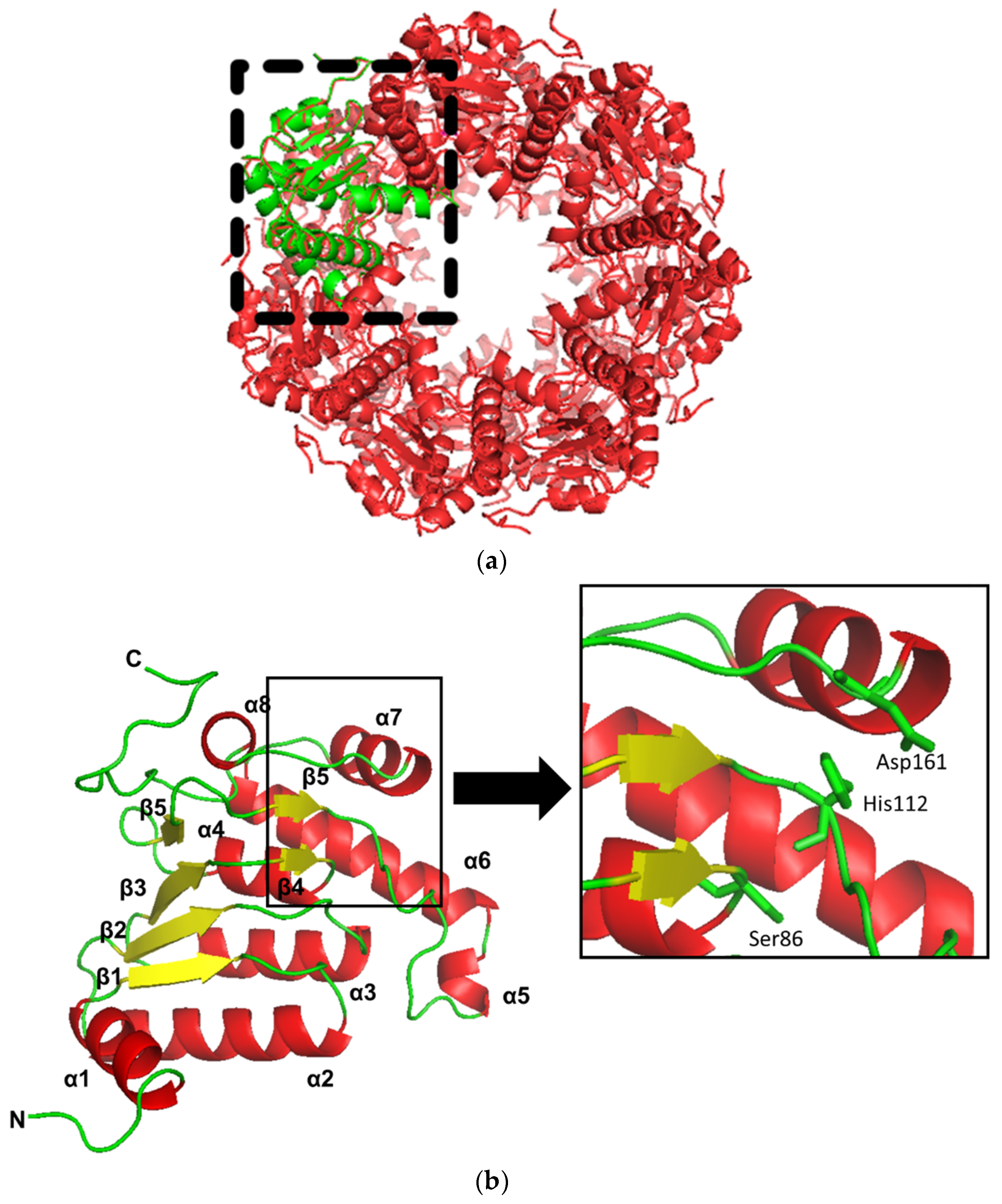 Molecules 27 03787 g002a