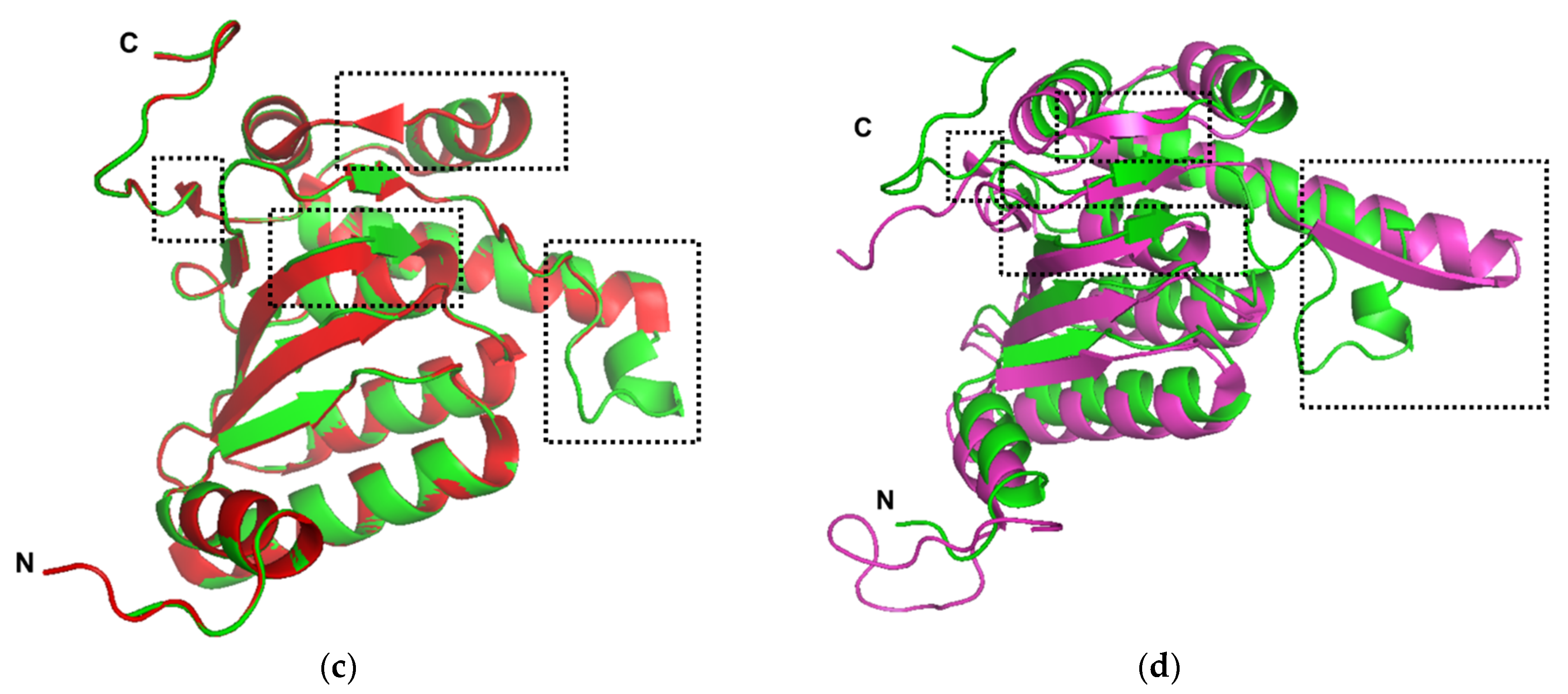 Molecules 27 03787 g002b
