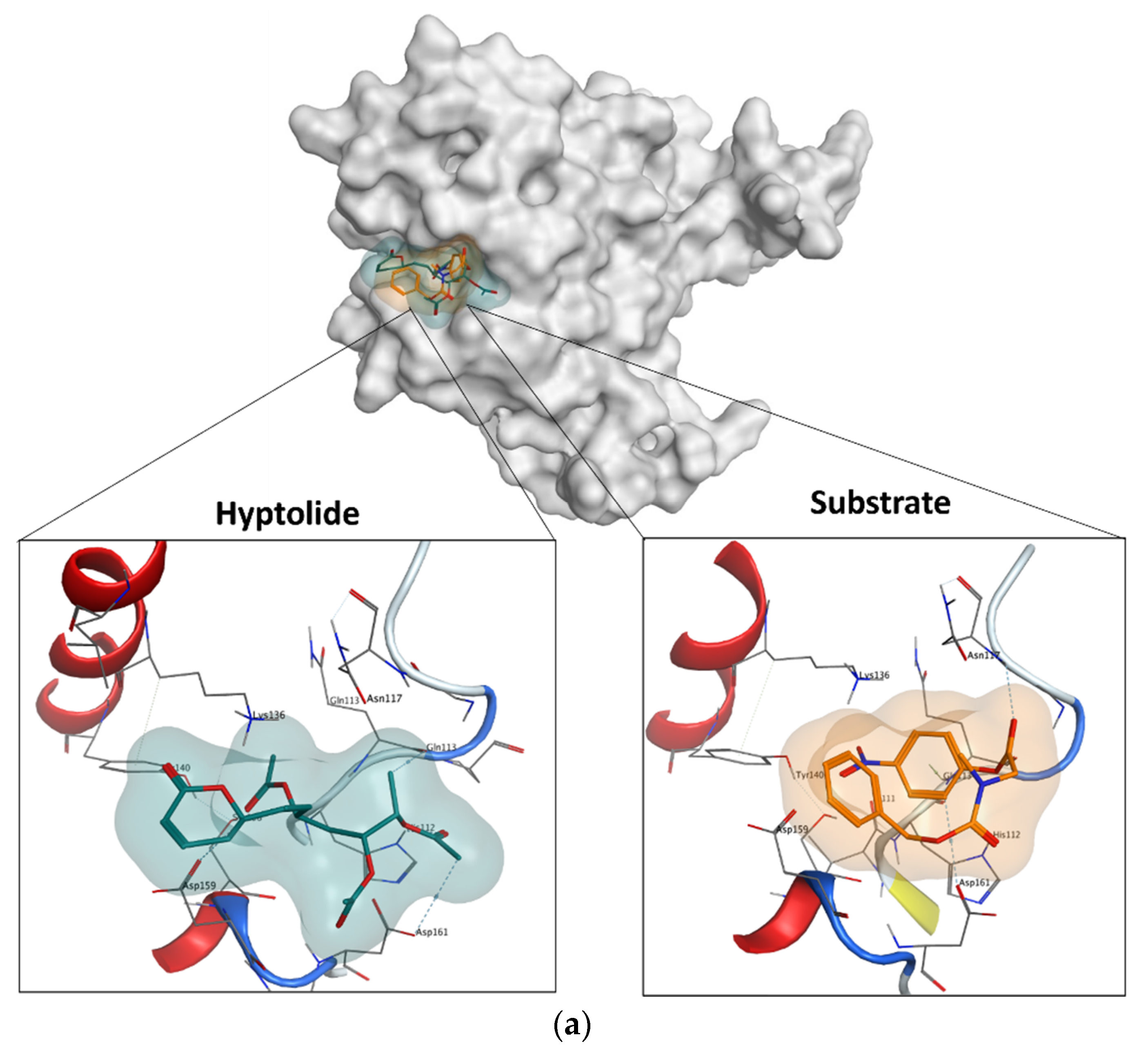 Molecules 27 03787 g009a