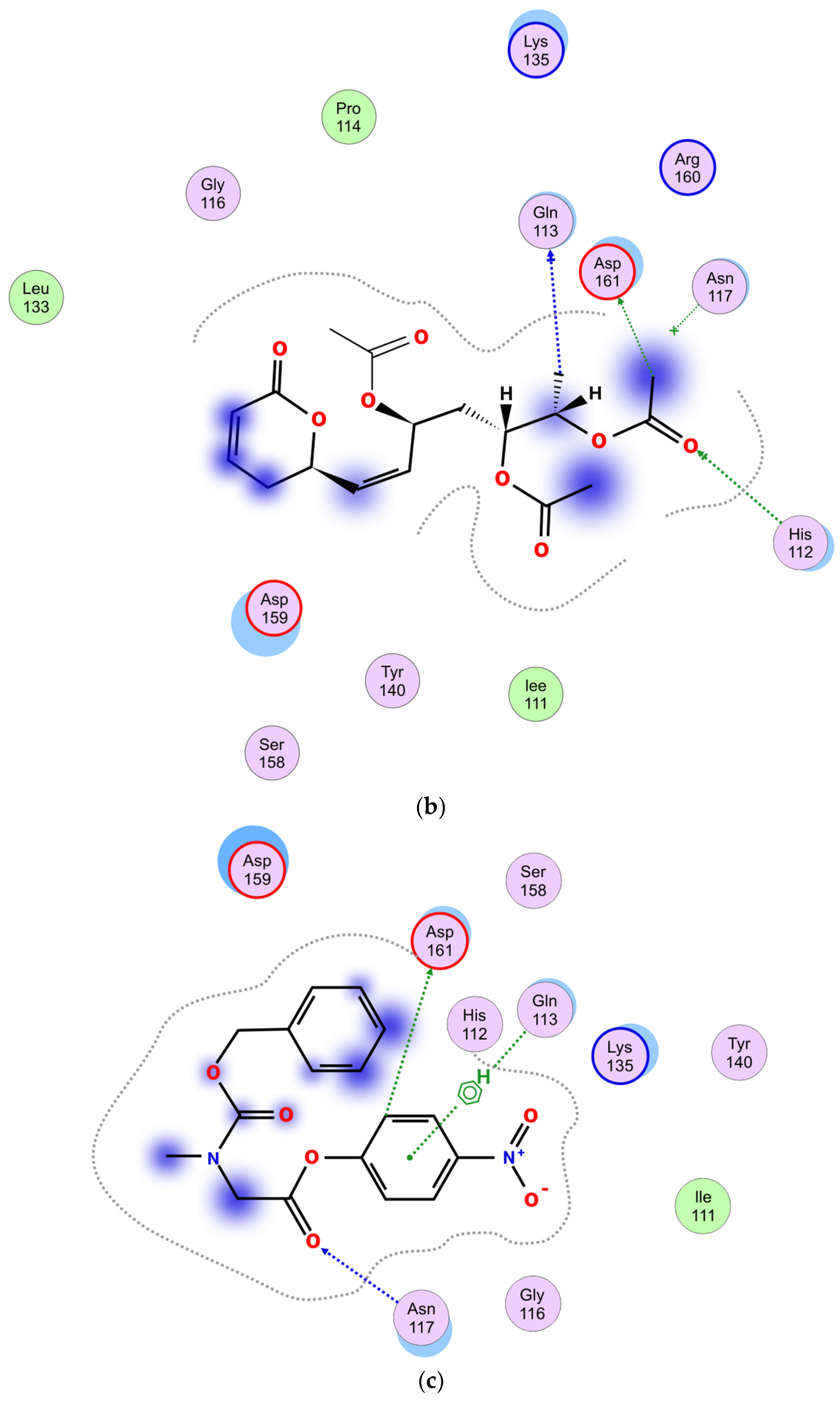 Molecules 27 03787 g009b