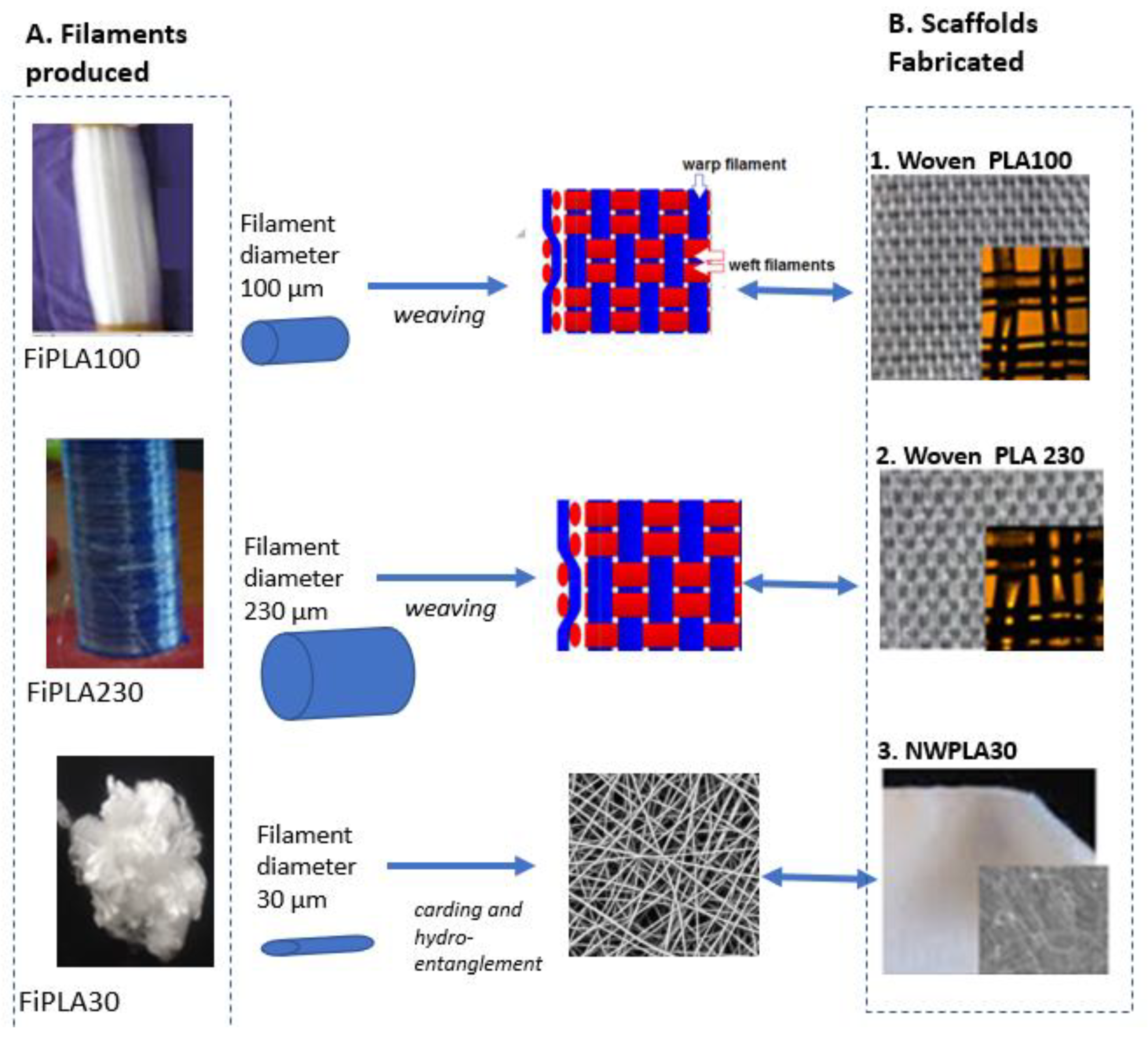 Molecules 27 03790 g003