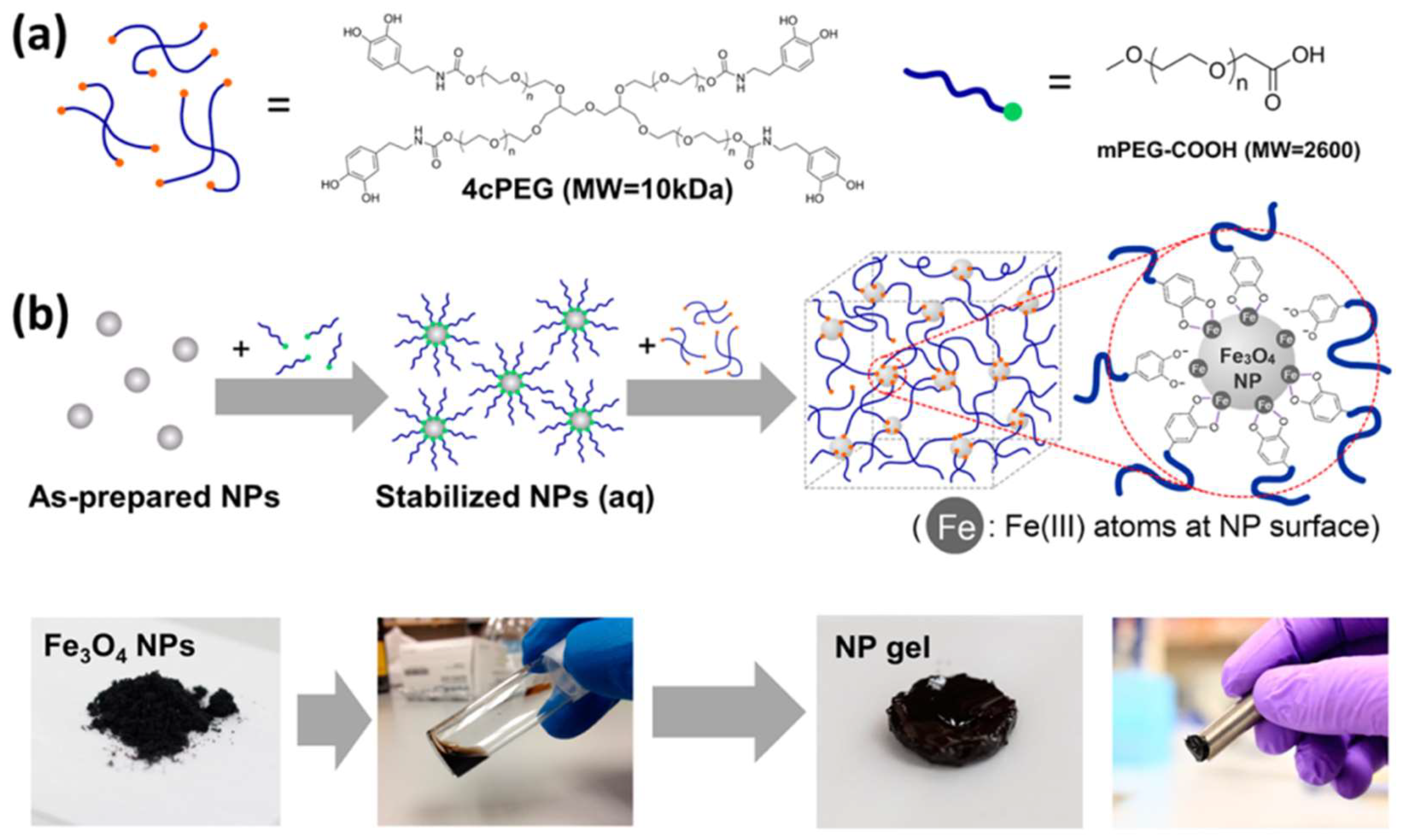 Molecules 27 03796 g004
