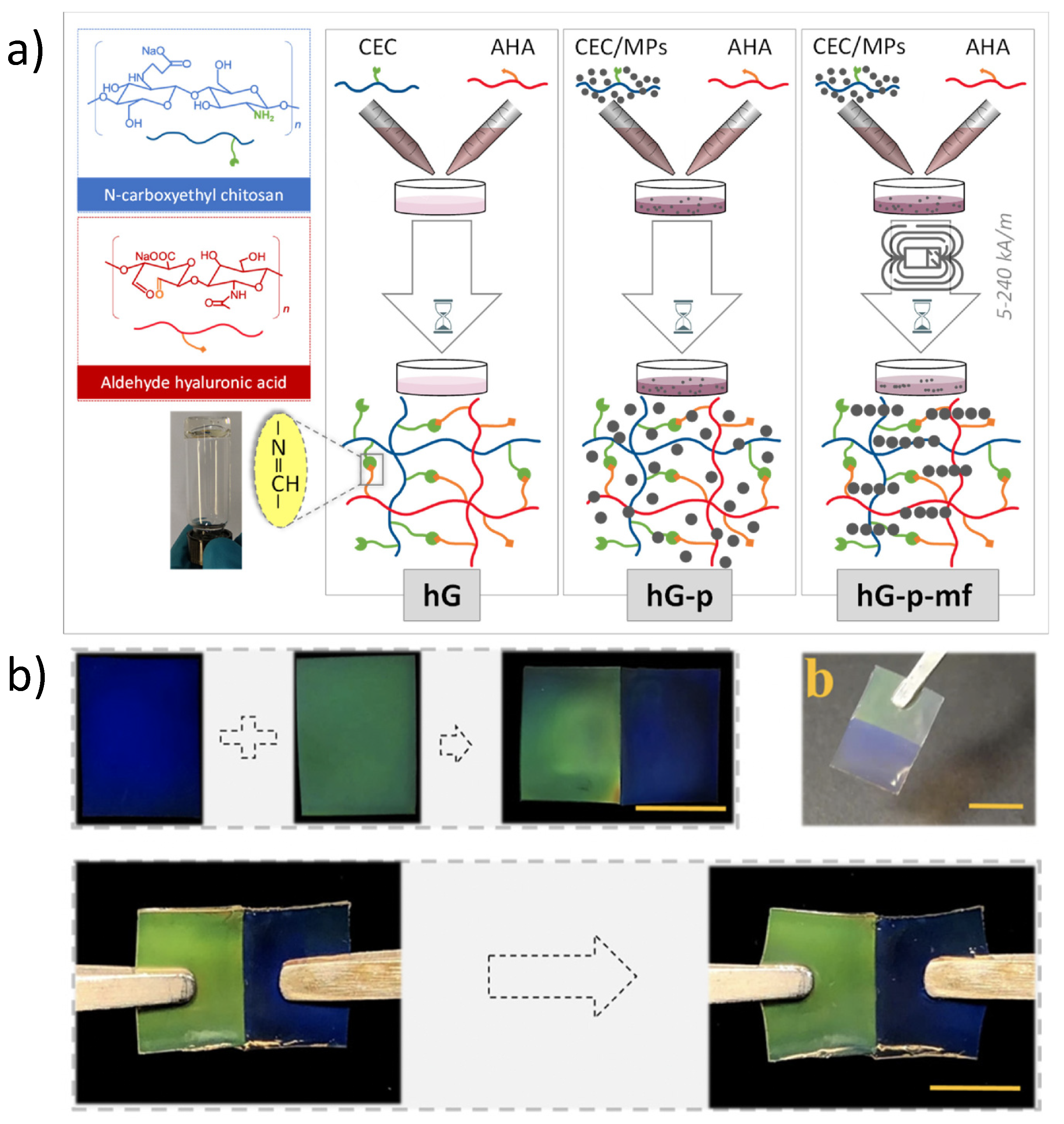 Molecules 27 03796 g008