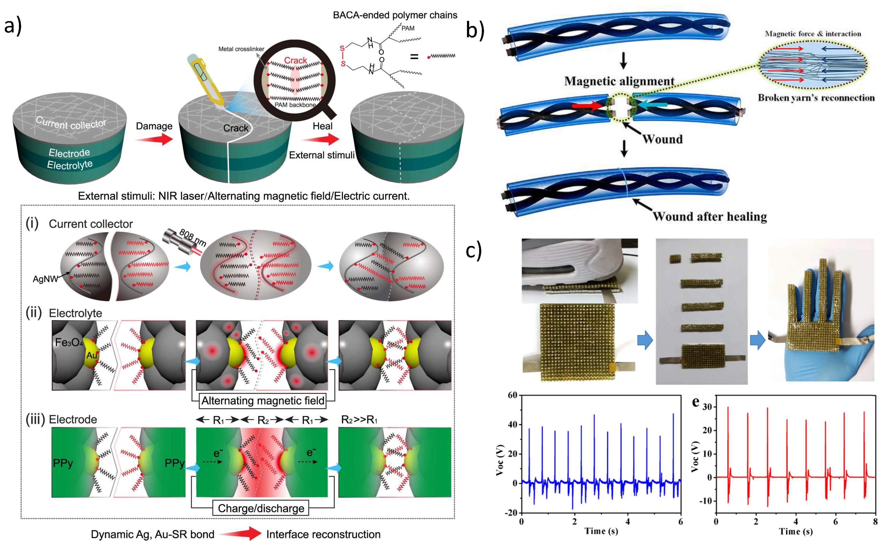 Molecules 27 03796 g009
