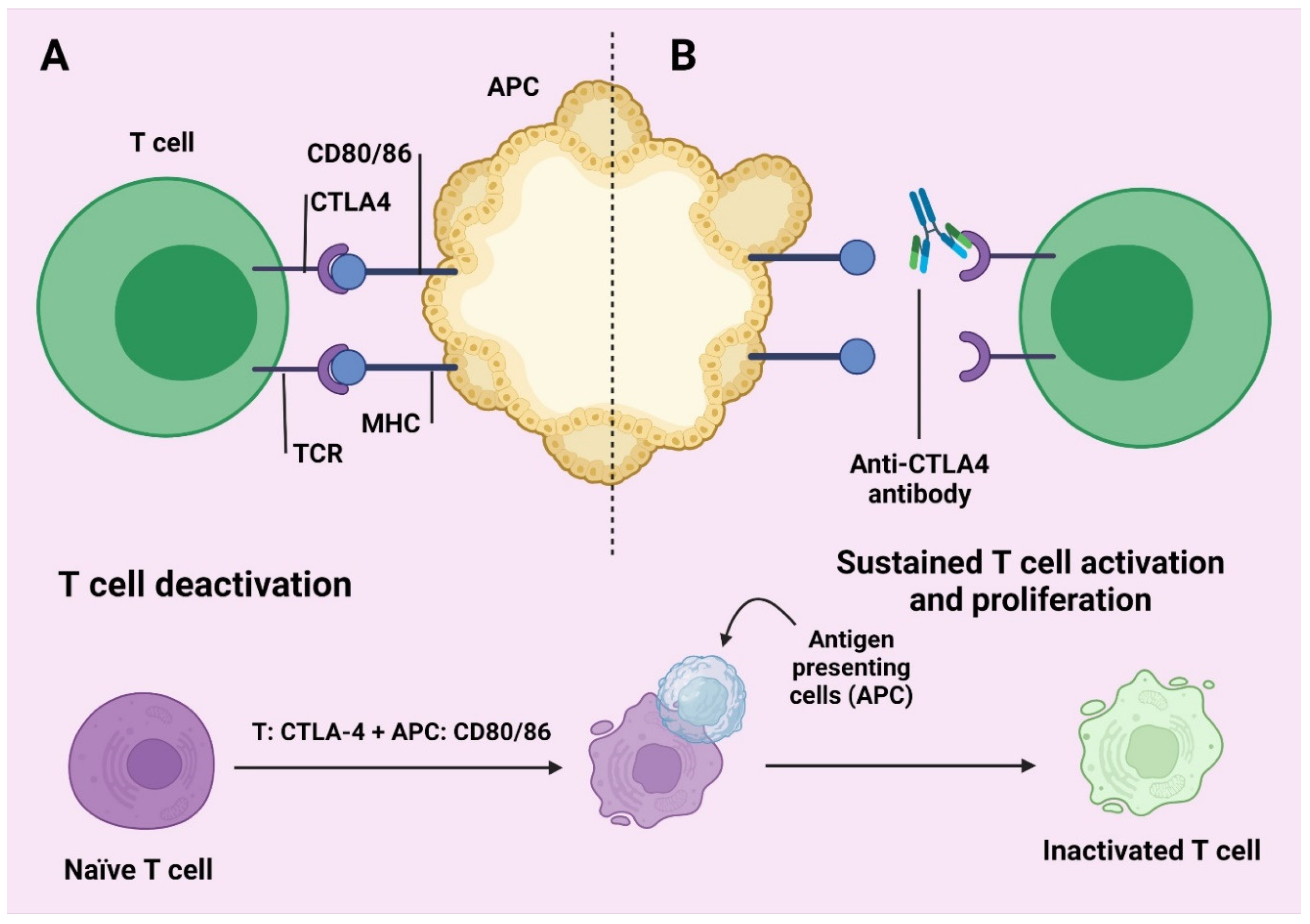 Molecules 27 03798 g002