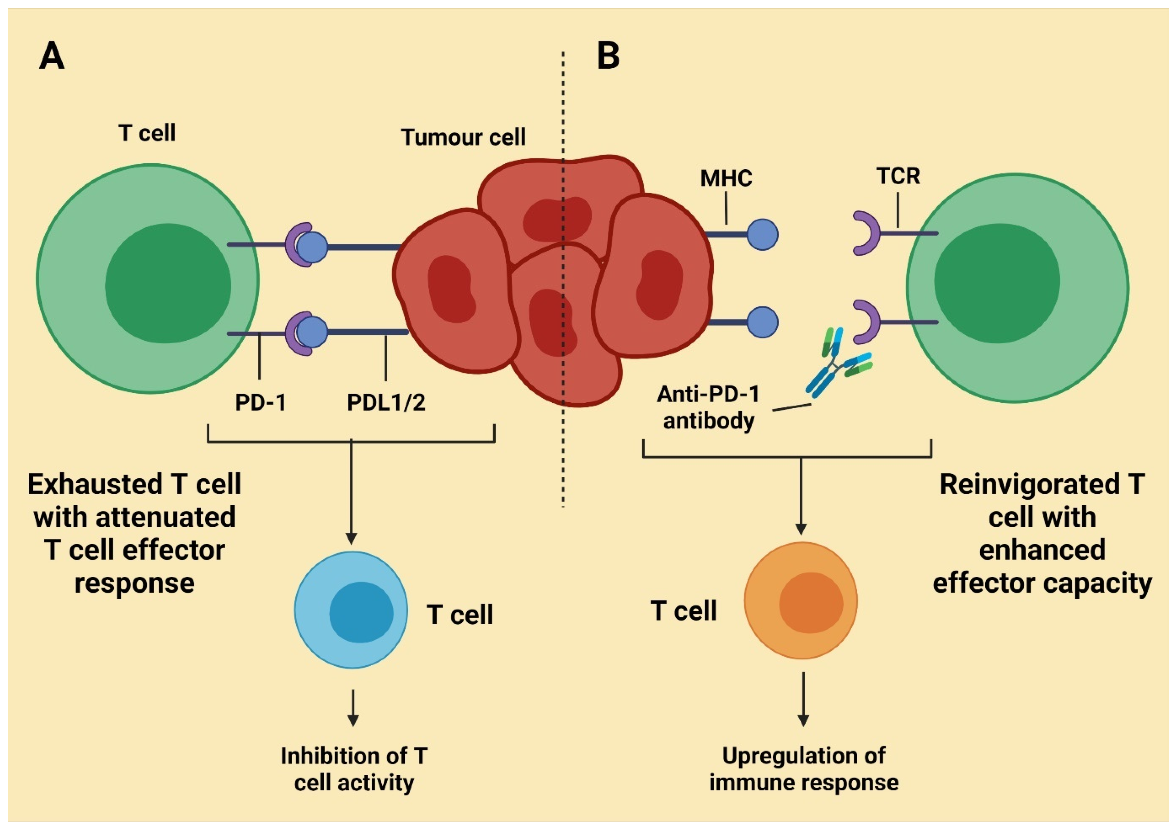 Molecules 27 03798 g003