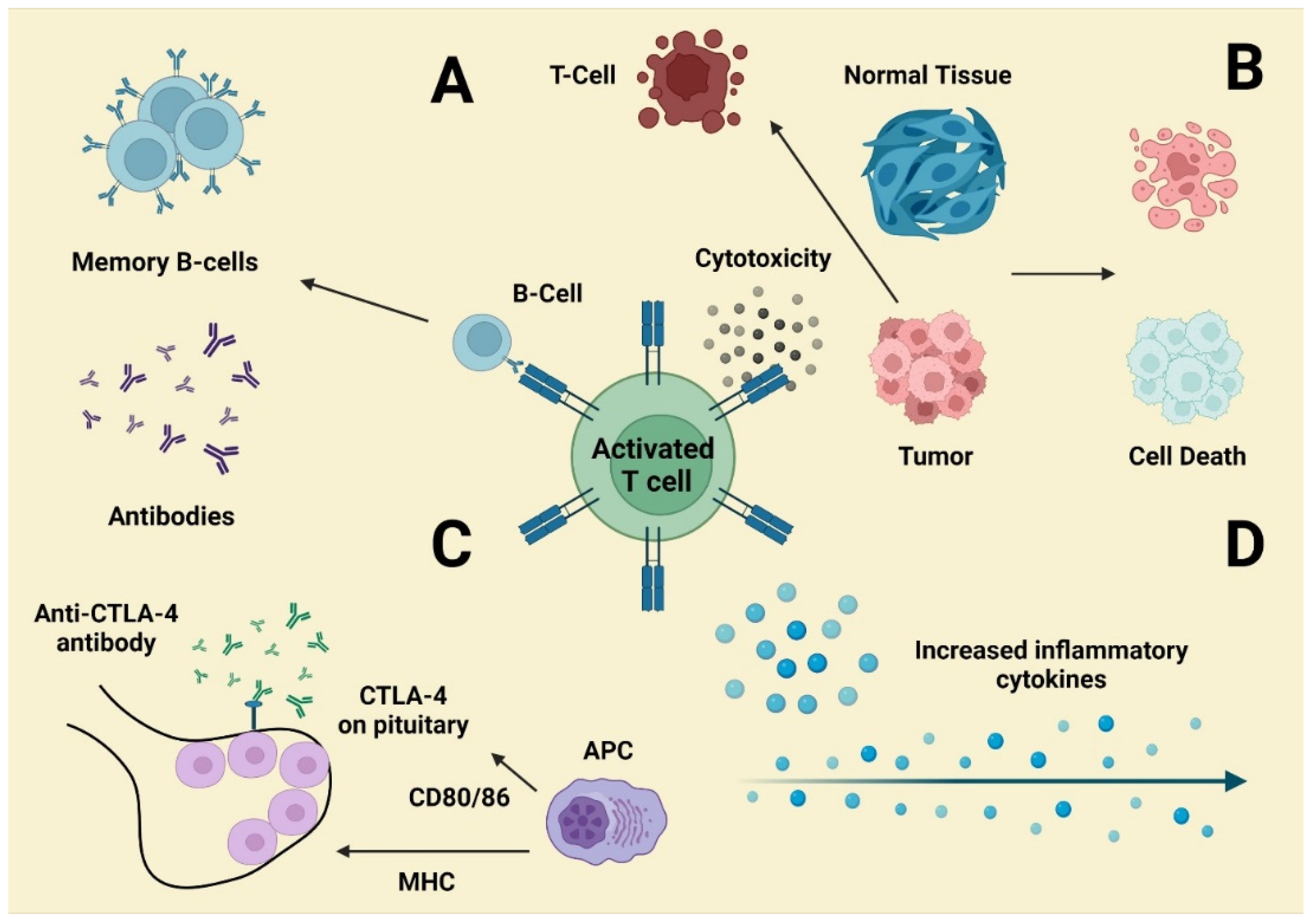 Molecules 27 03798 g004