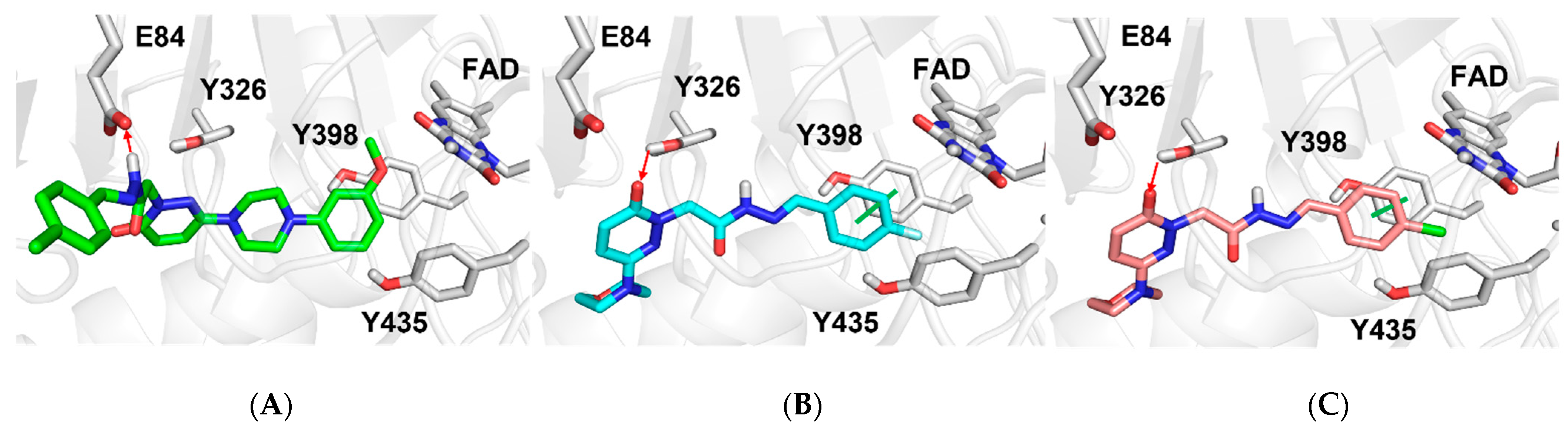Molecules 27 03801 g004