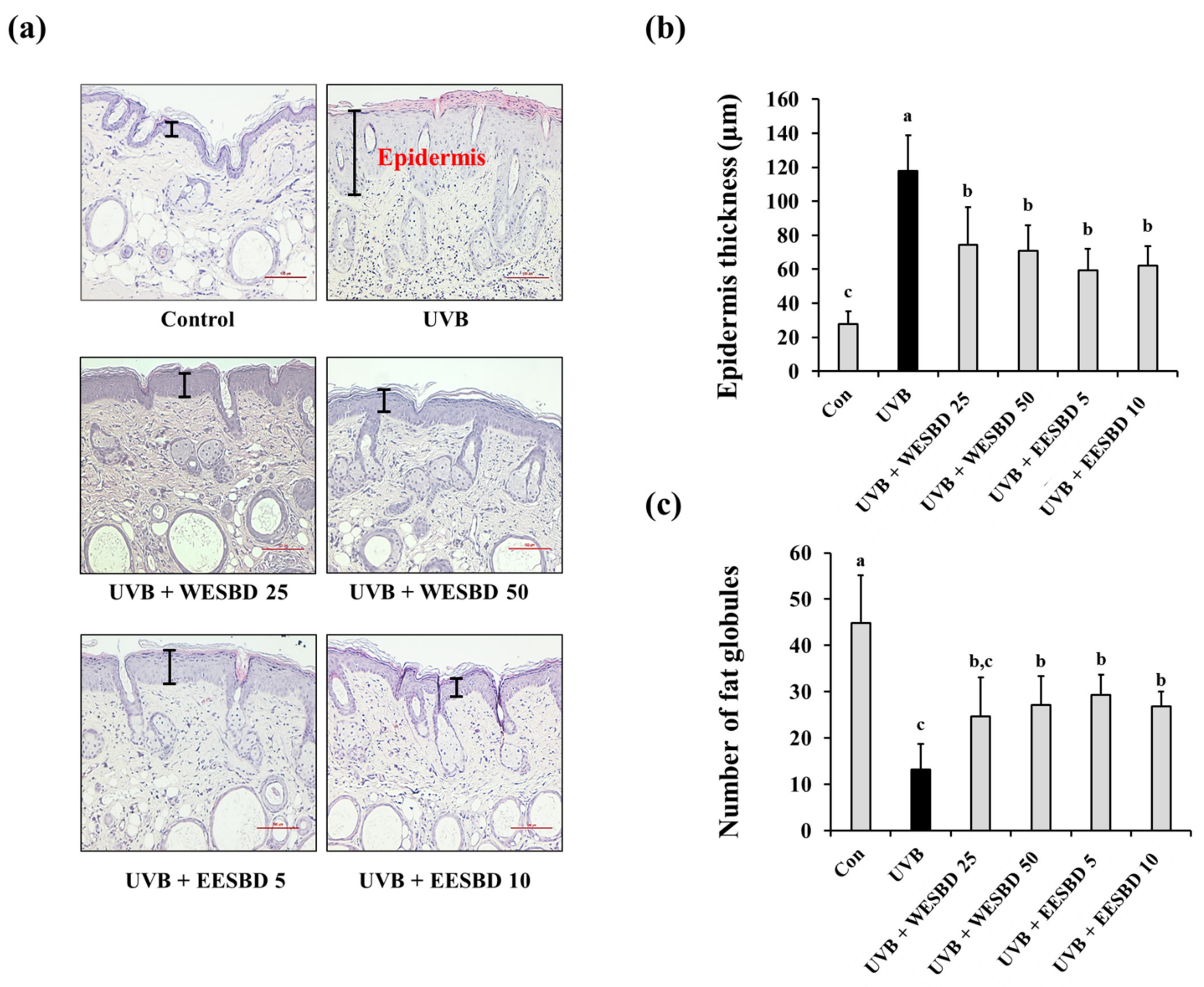 Molecules 27 03803 g004