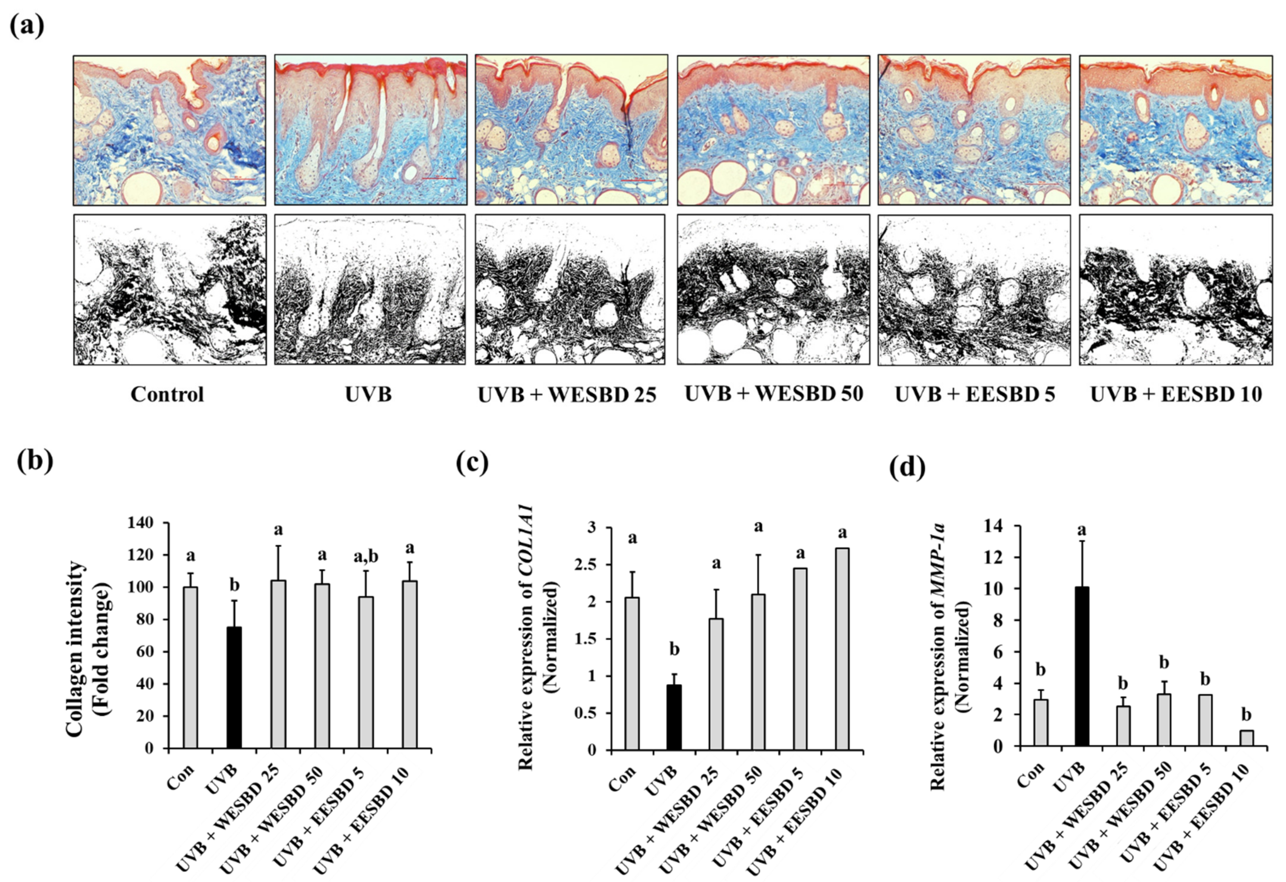 Molecules 27 03803 g005