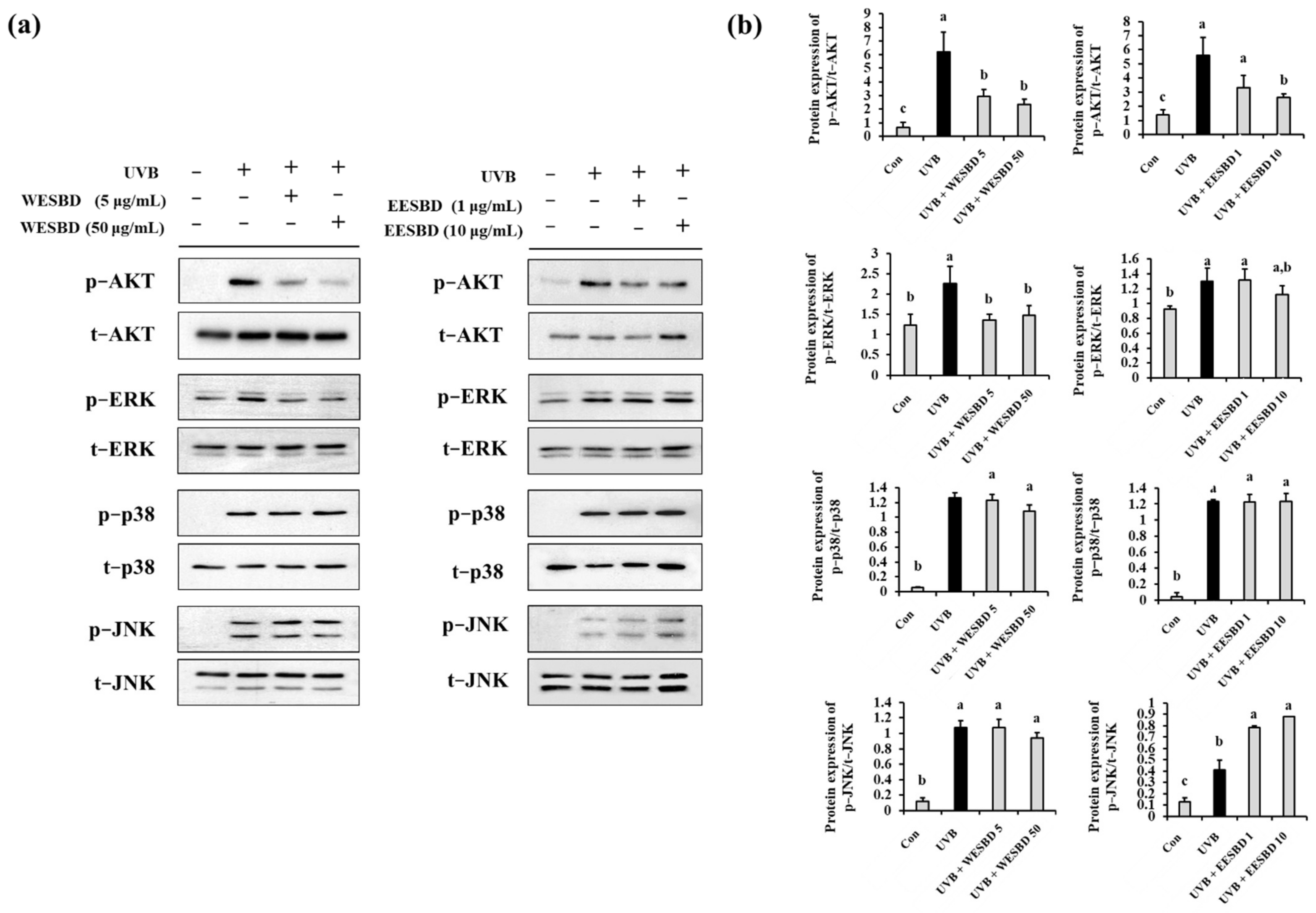 Molecules 27 03803 g006