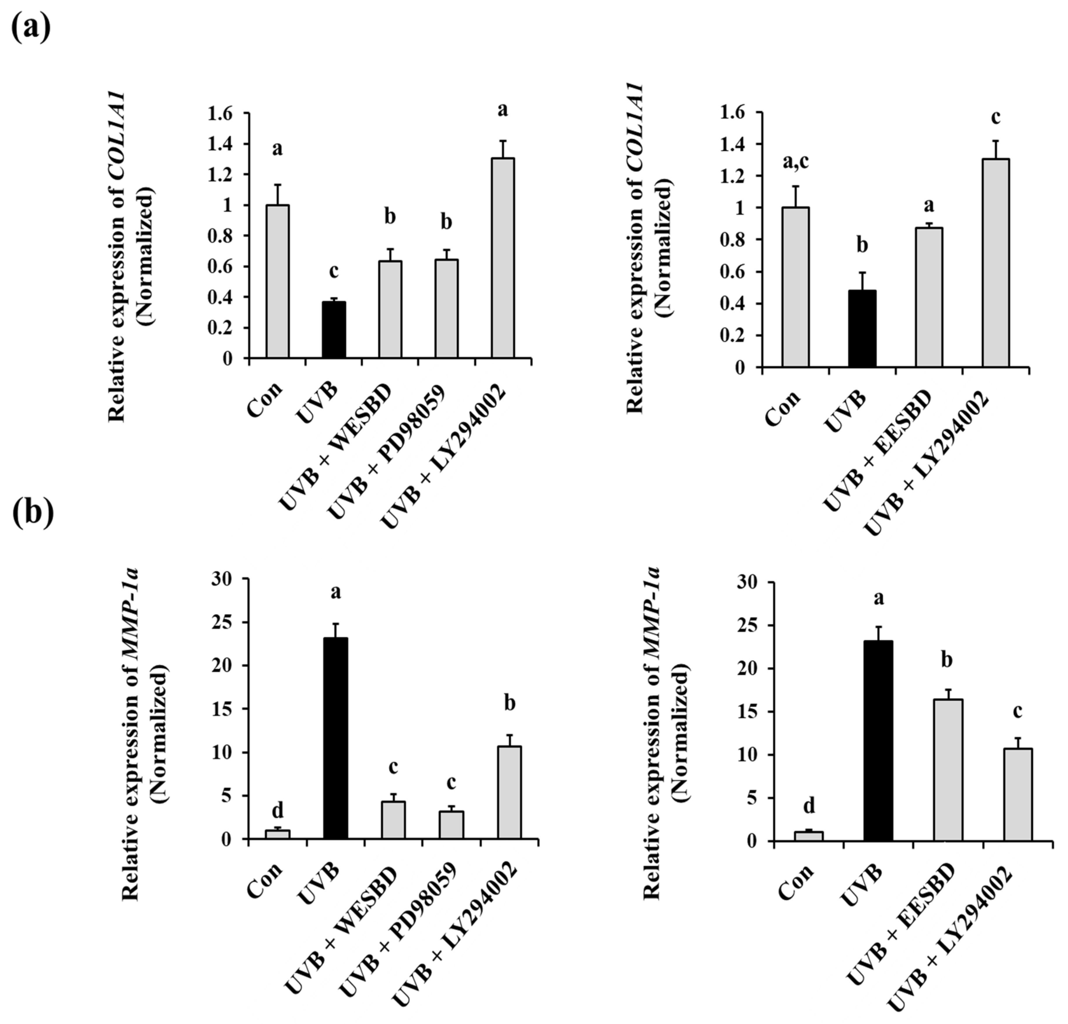 Molecules 27 03803 g007