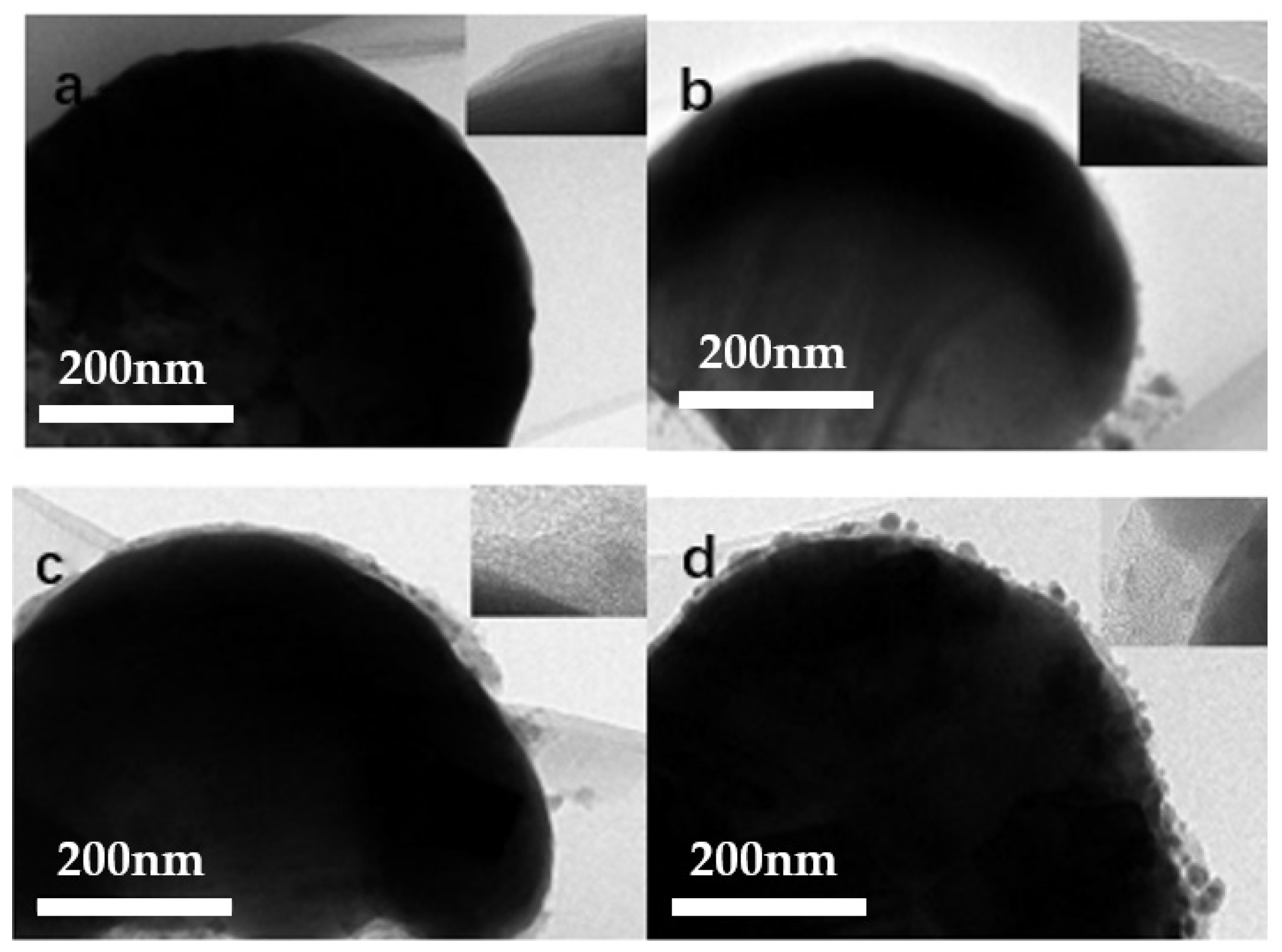 Molecules 27 03805 g003