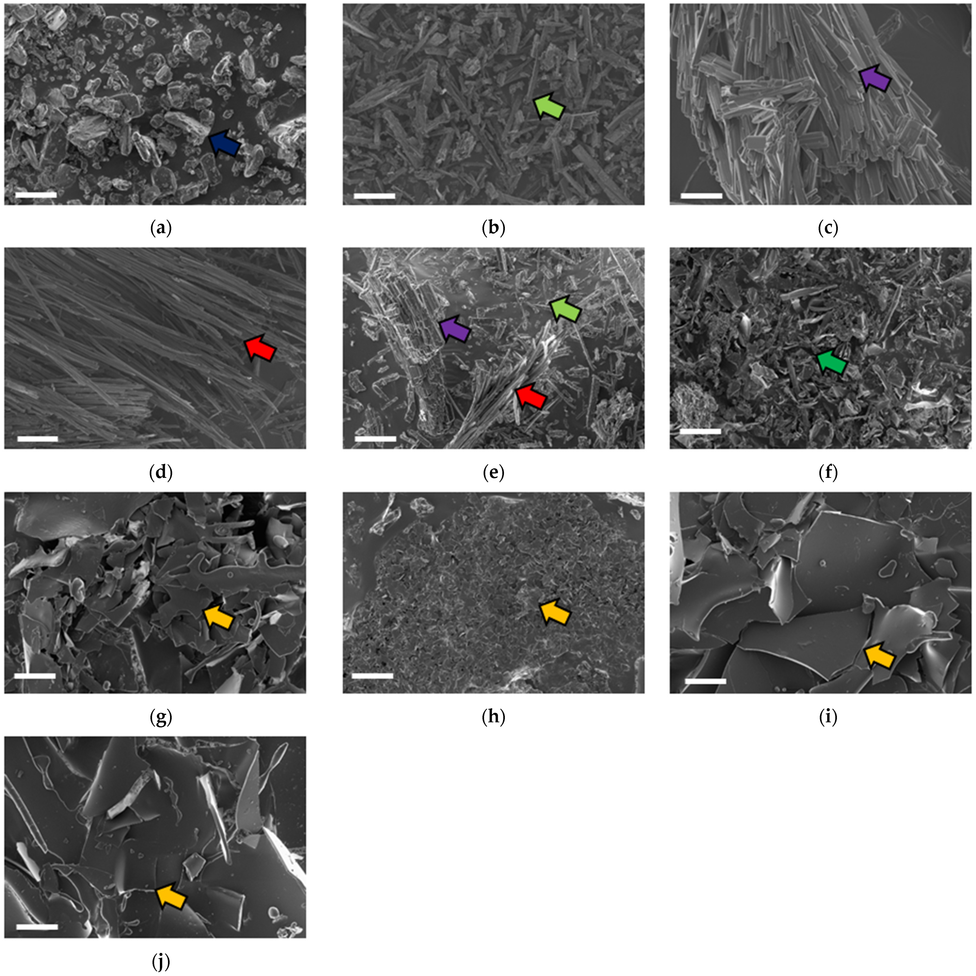 Molecules 27 03808 g001