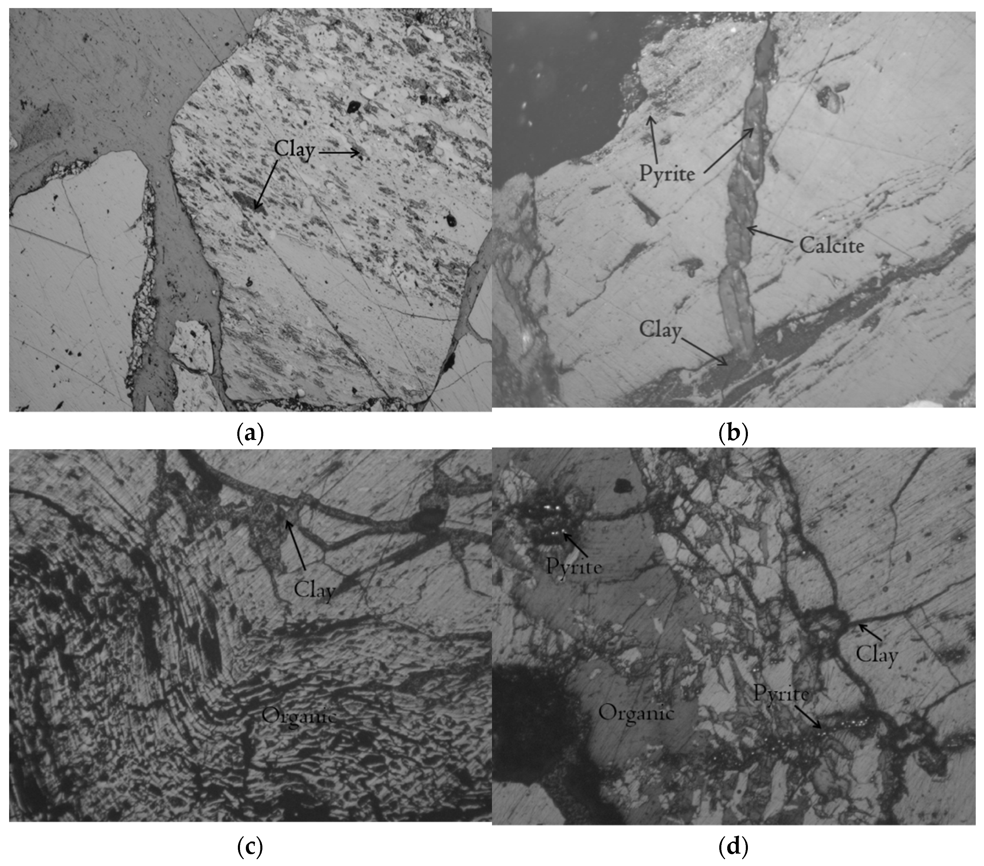 Molecules 27 03810 g002