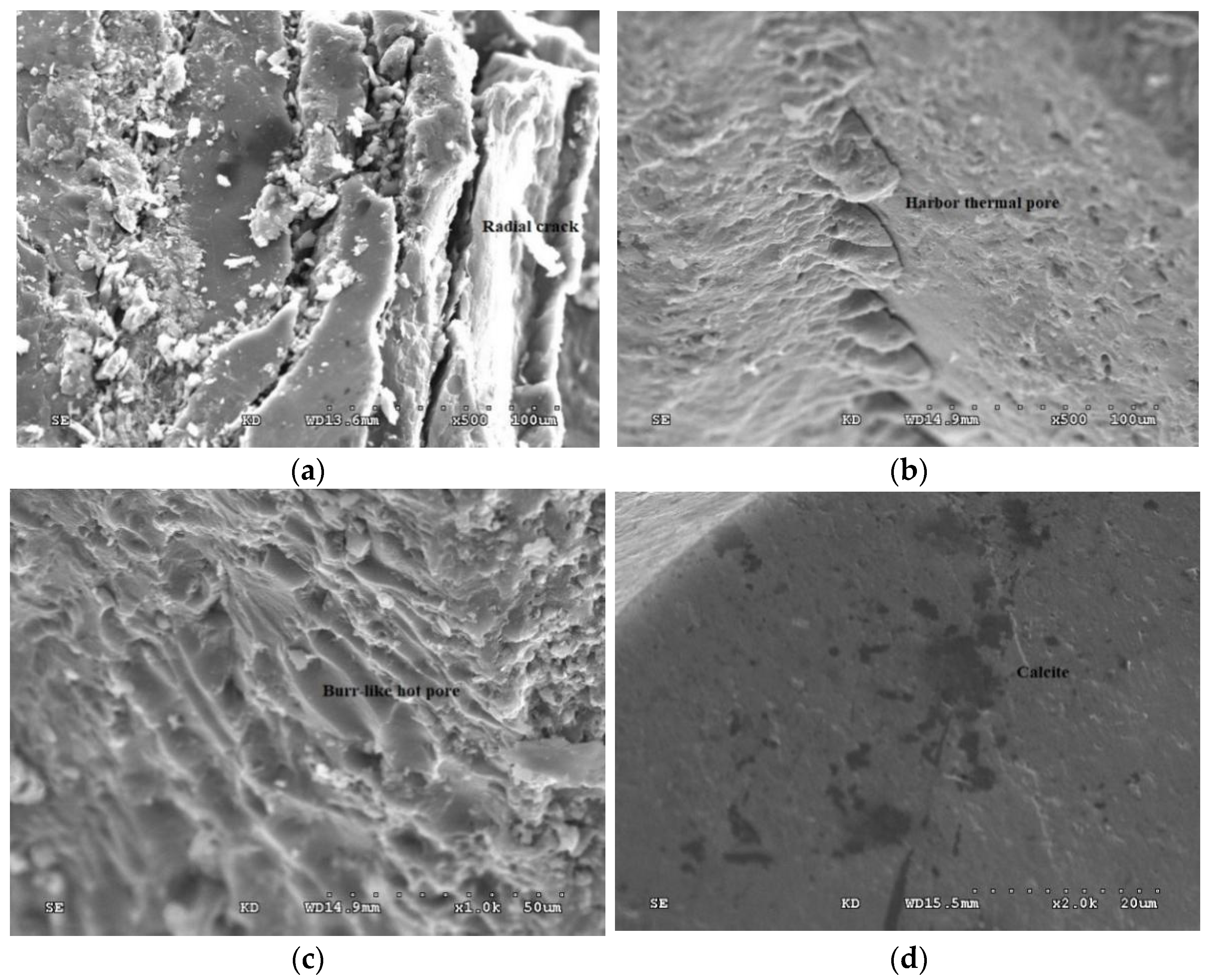 Molecules 27 03810 g003