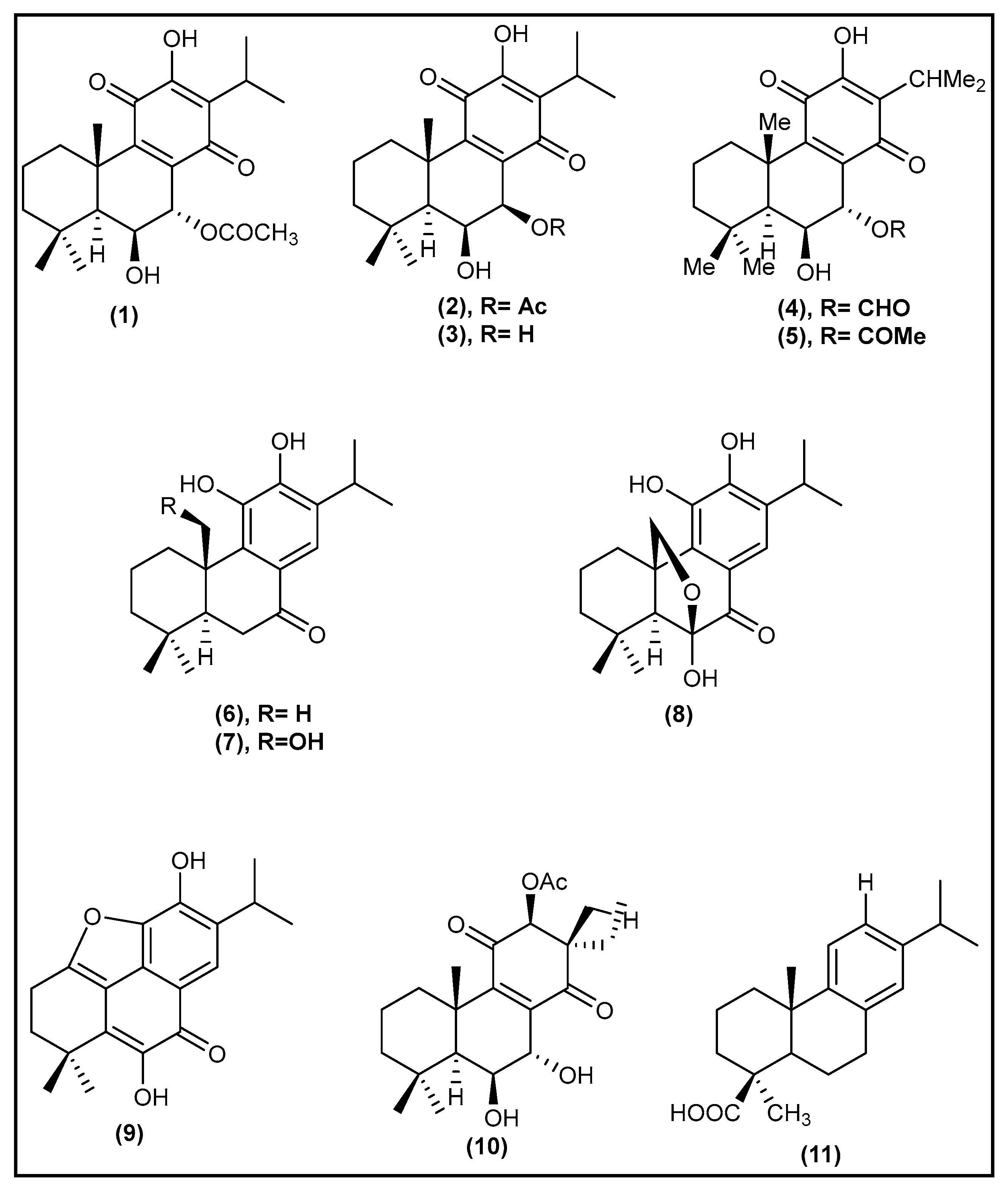 Molecules 27 03813 g001