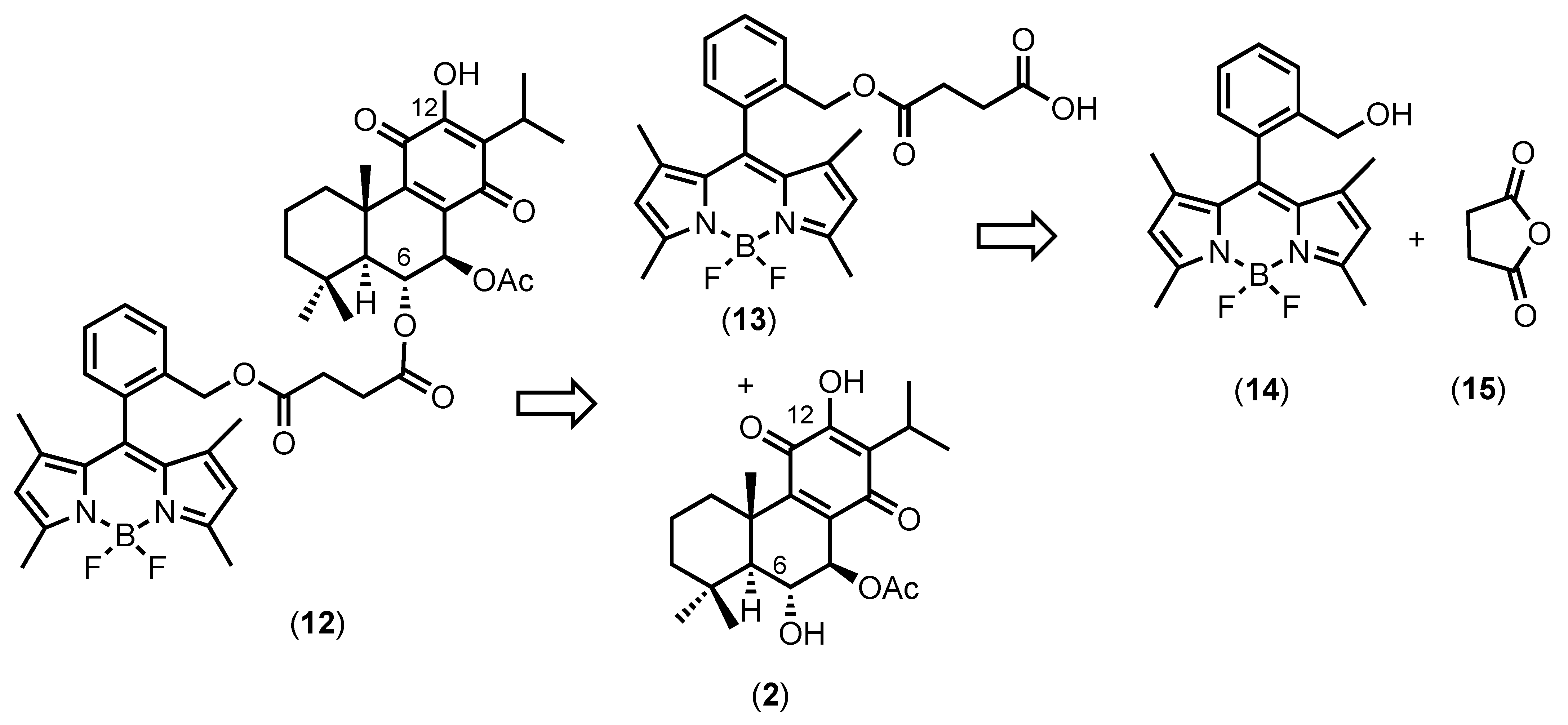 Molecules 27 03813 g003