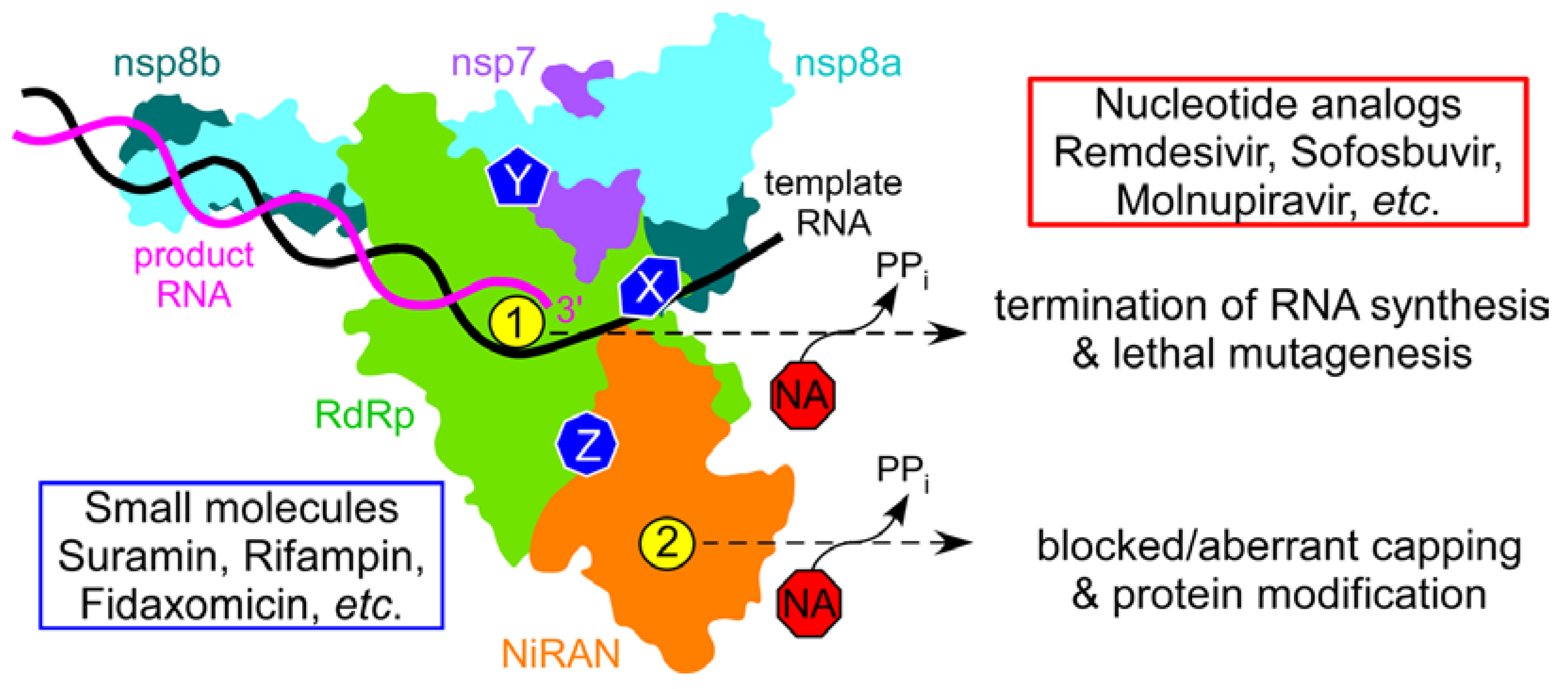 Molecules 27 03815 g001