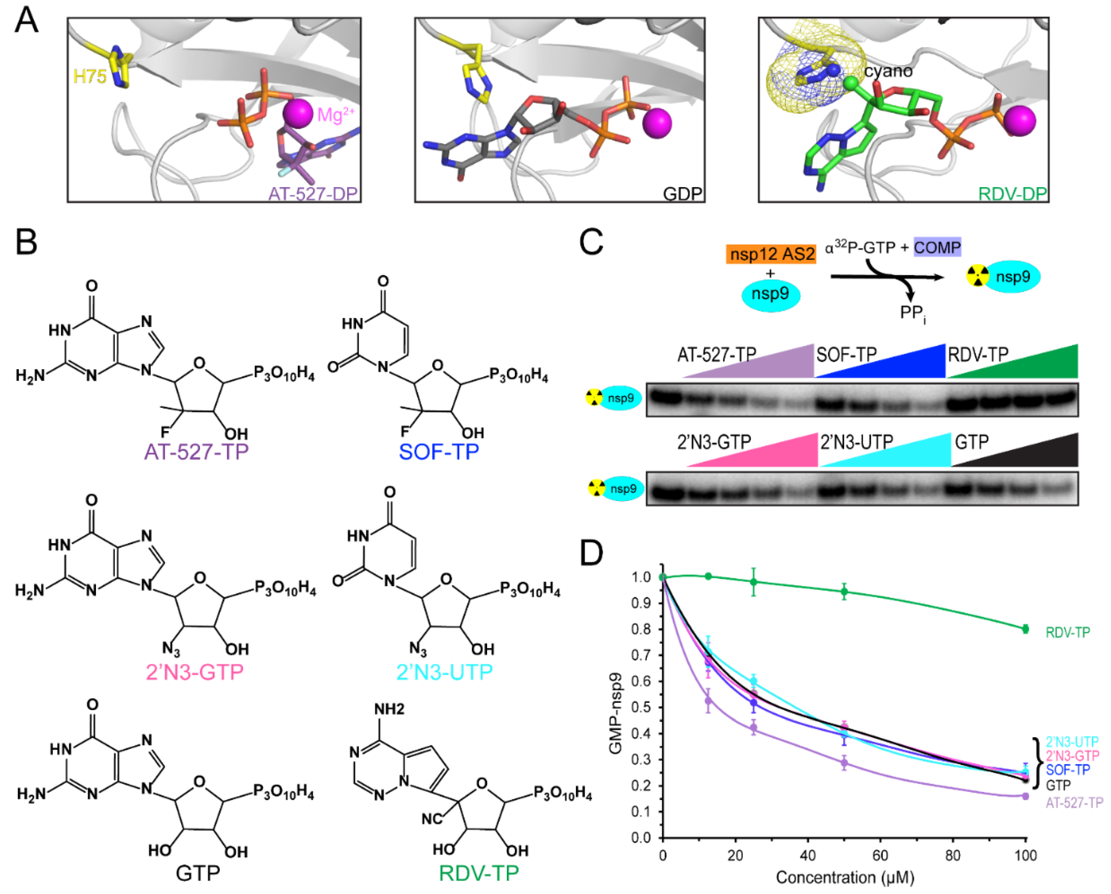 Molecules 27 03815 g002